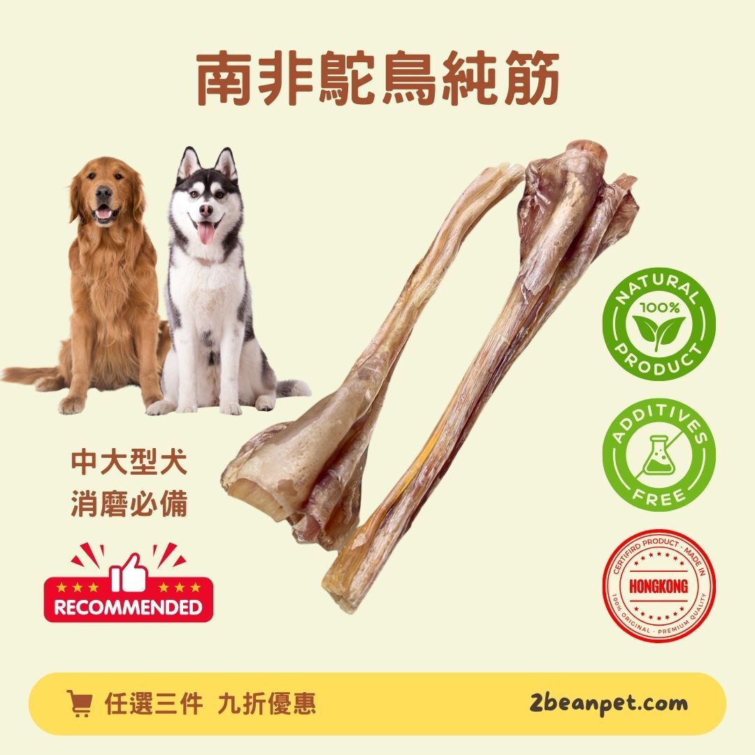 2BeanPet 風乾南非鴕鳥純筋｜超級低敏 耐咬消遣 潔齒首選｜香港製造 天然風乾 狗零食｜全天然無添加