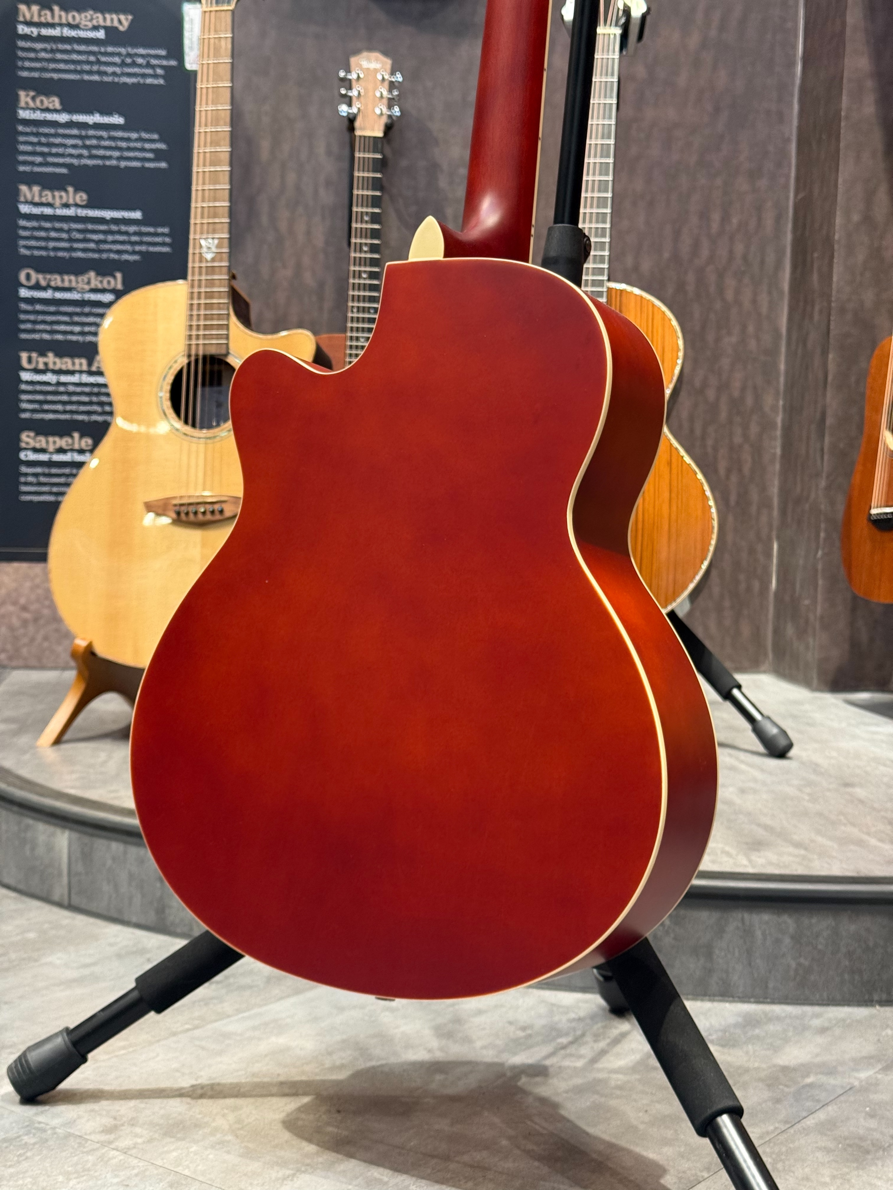 Mighty Dream MD-200 40吋 合板木吉他 原木色 漸層色 黑色 第 6 張圖片｜三峽吉他 / Bass