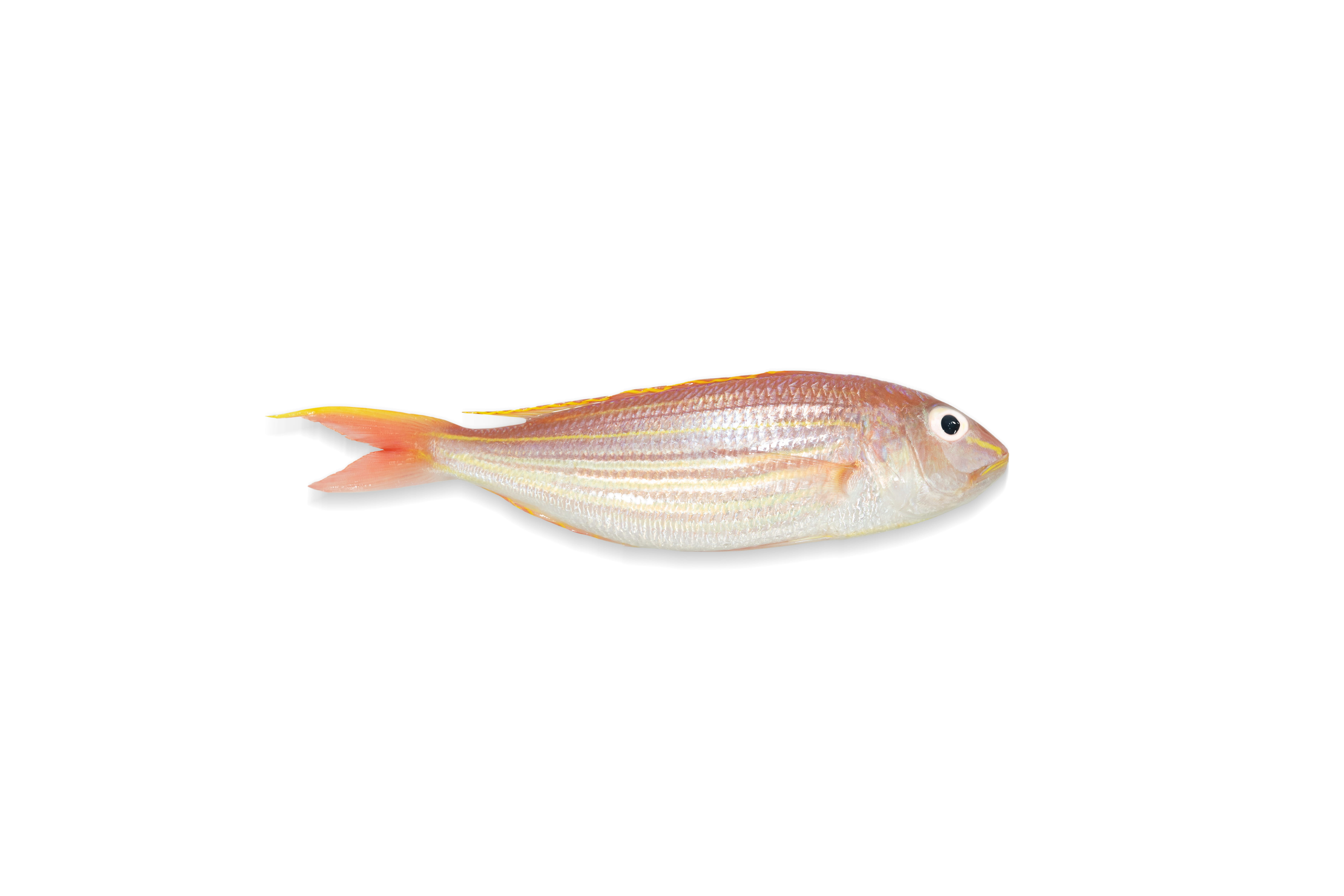 Local IQF Golden Thread 300g/pack