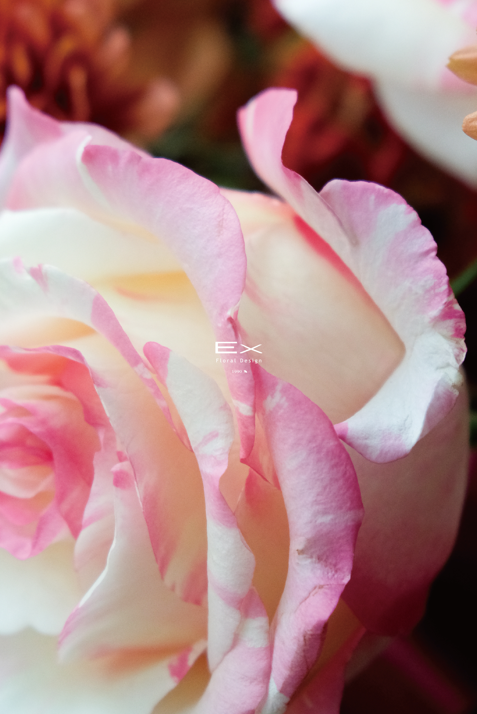 艾莉安・Eliane｜藝術花柱 送禮