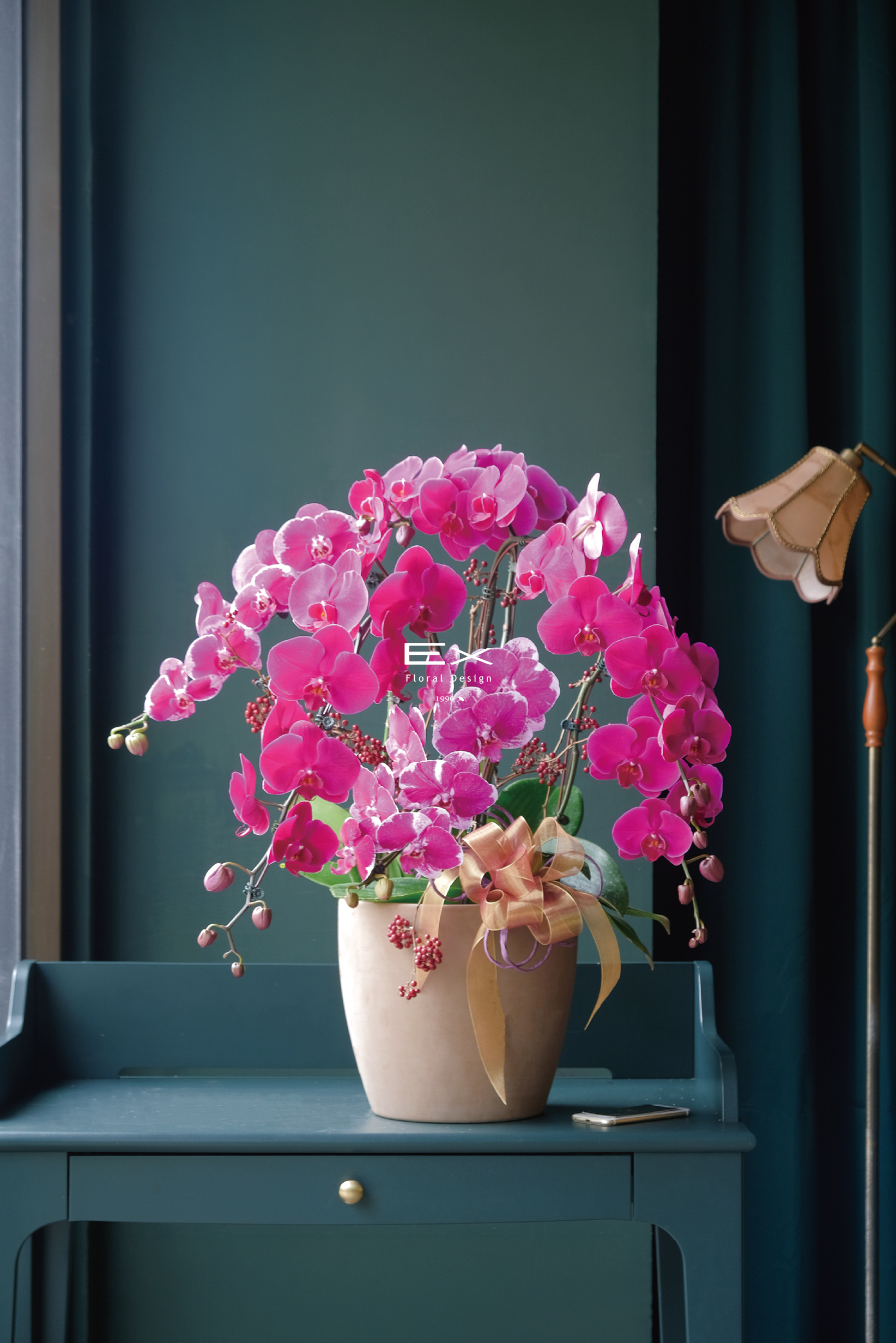 維蘭蒂亞 Virentia Crimson｜蝴蝶蘭花禮