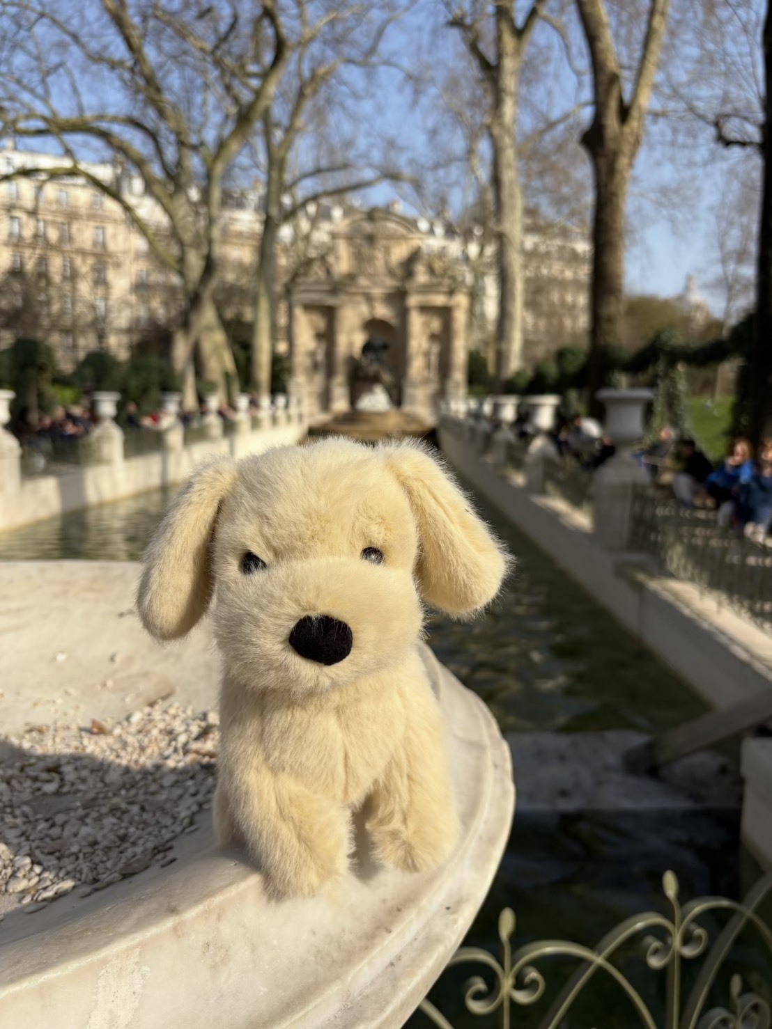 （預購）限量接單🔥Jellycat 黃金獵犬 小金毛 21cm