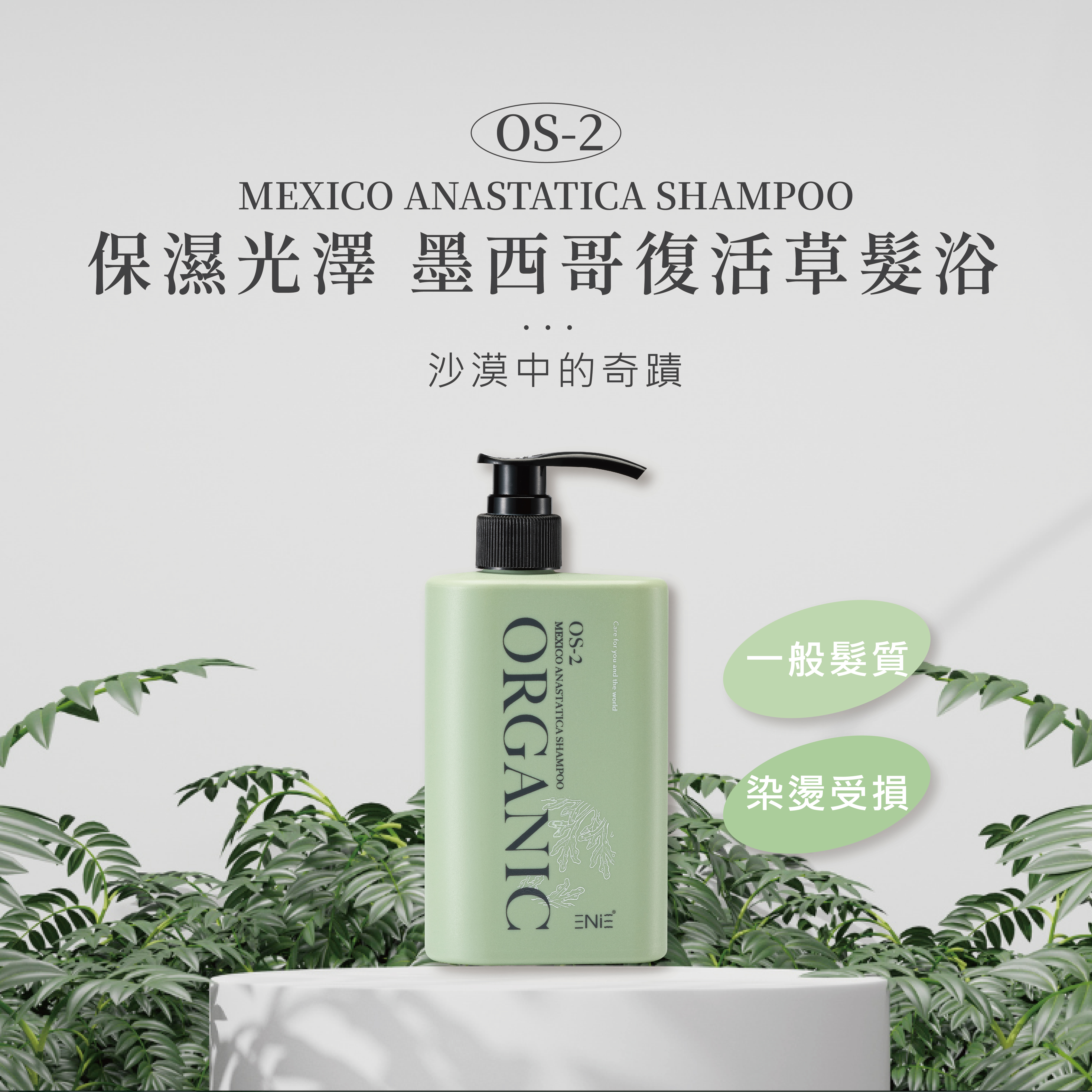 墨西哥復活草洗髮精