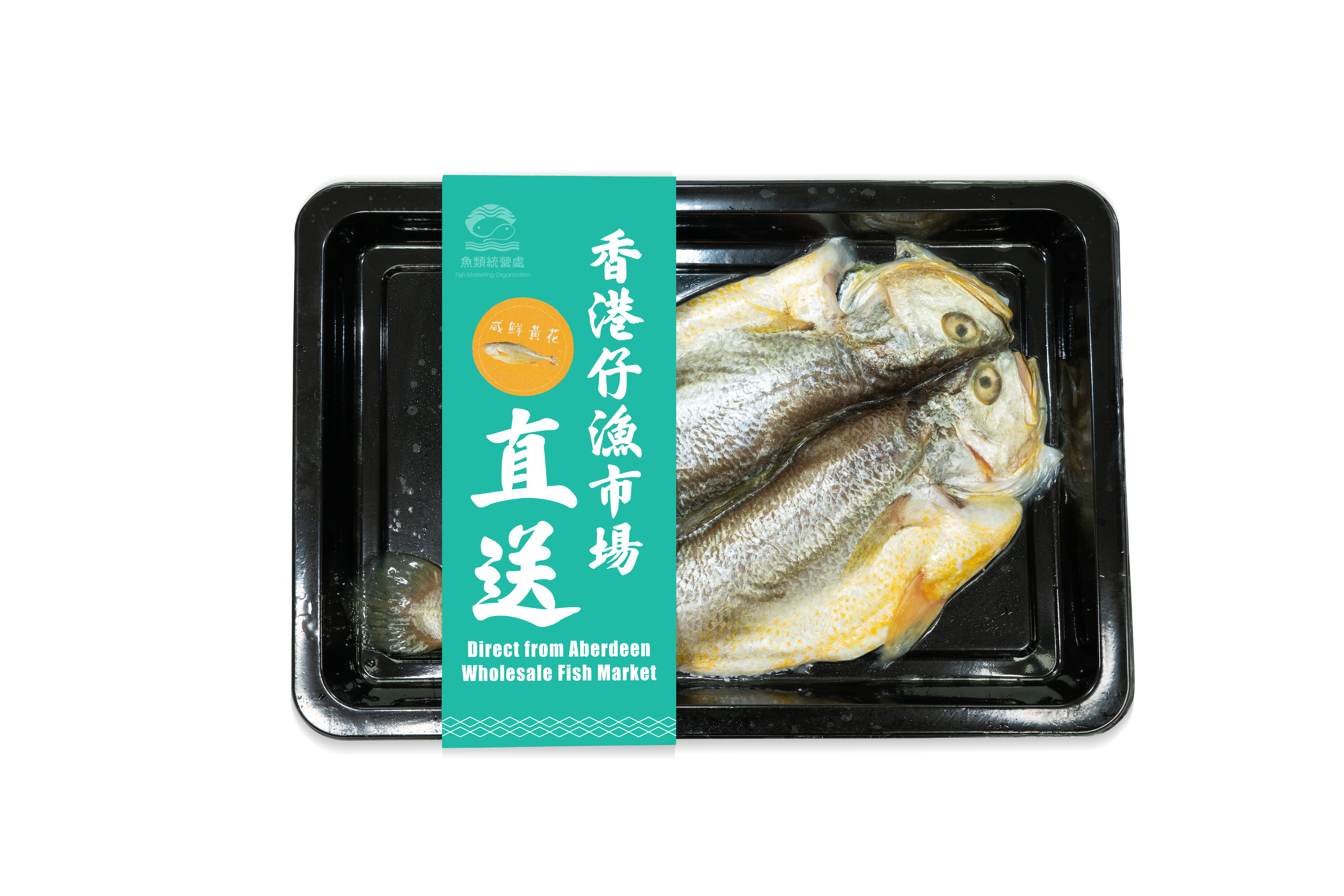 IQF Salt Yellow Croaker+ Threadfin