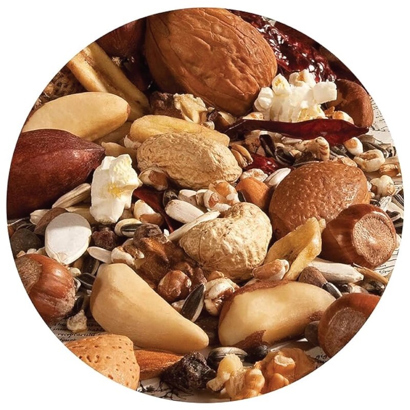 Versele-Laga 果實混合小食 - 750g
