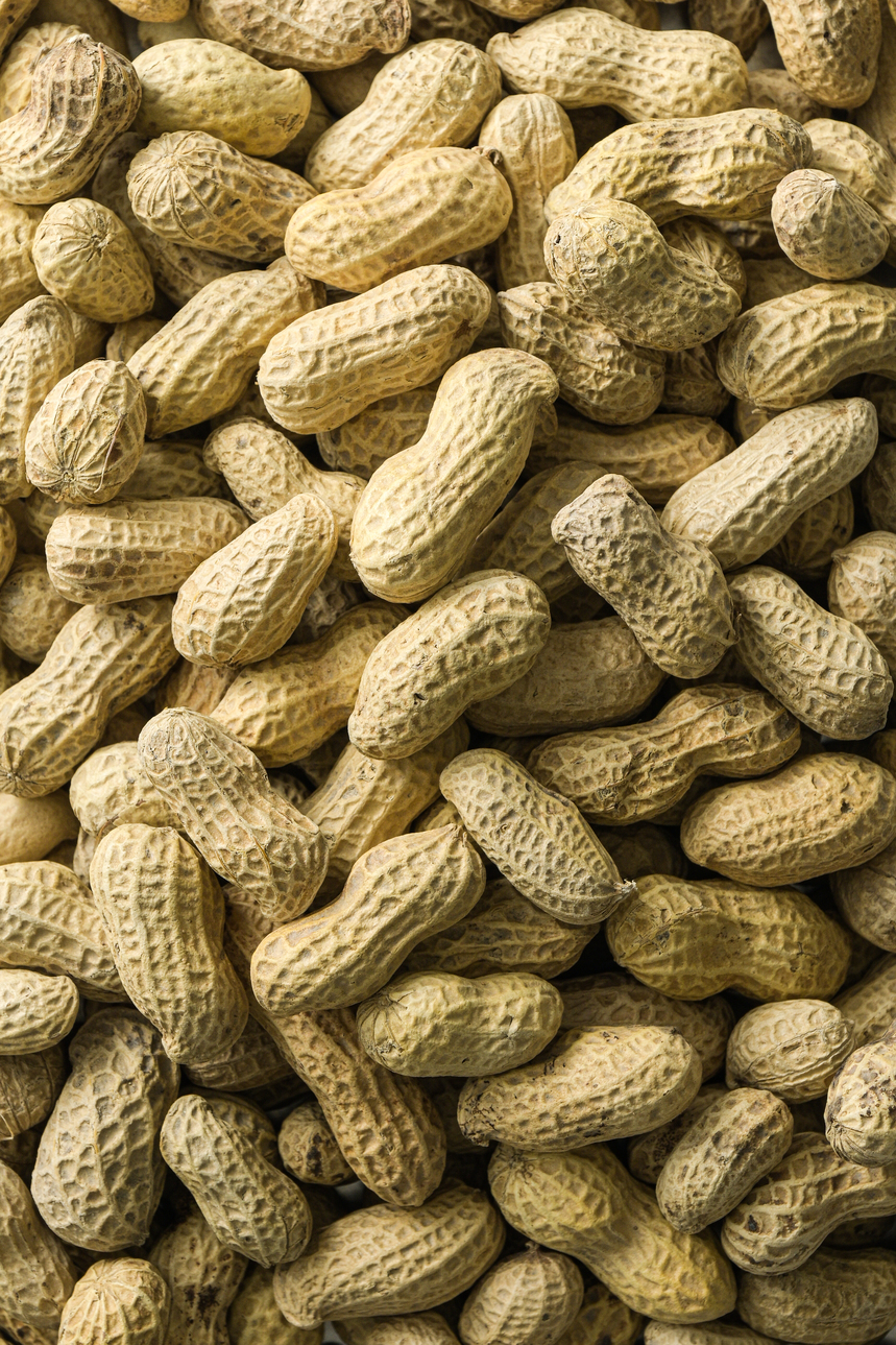 貓兒干村精品花生肌理