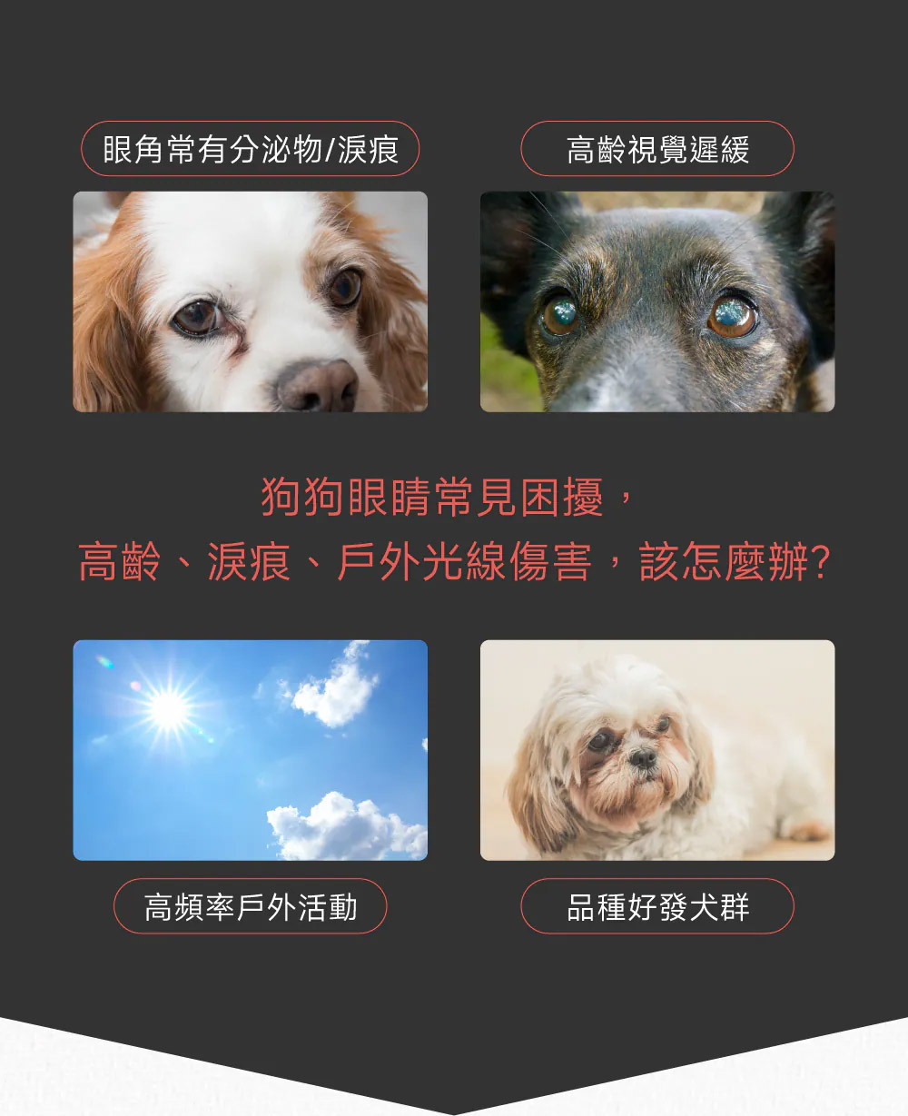 PetWell 沛威｜專效保健-護眼亮晶晶PRO 狗狗專用 (30包/盒)