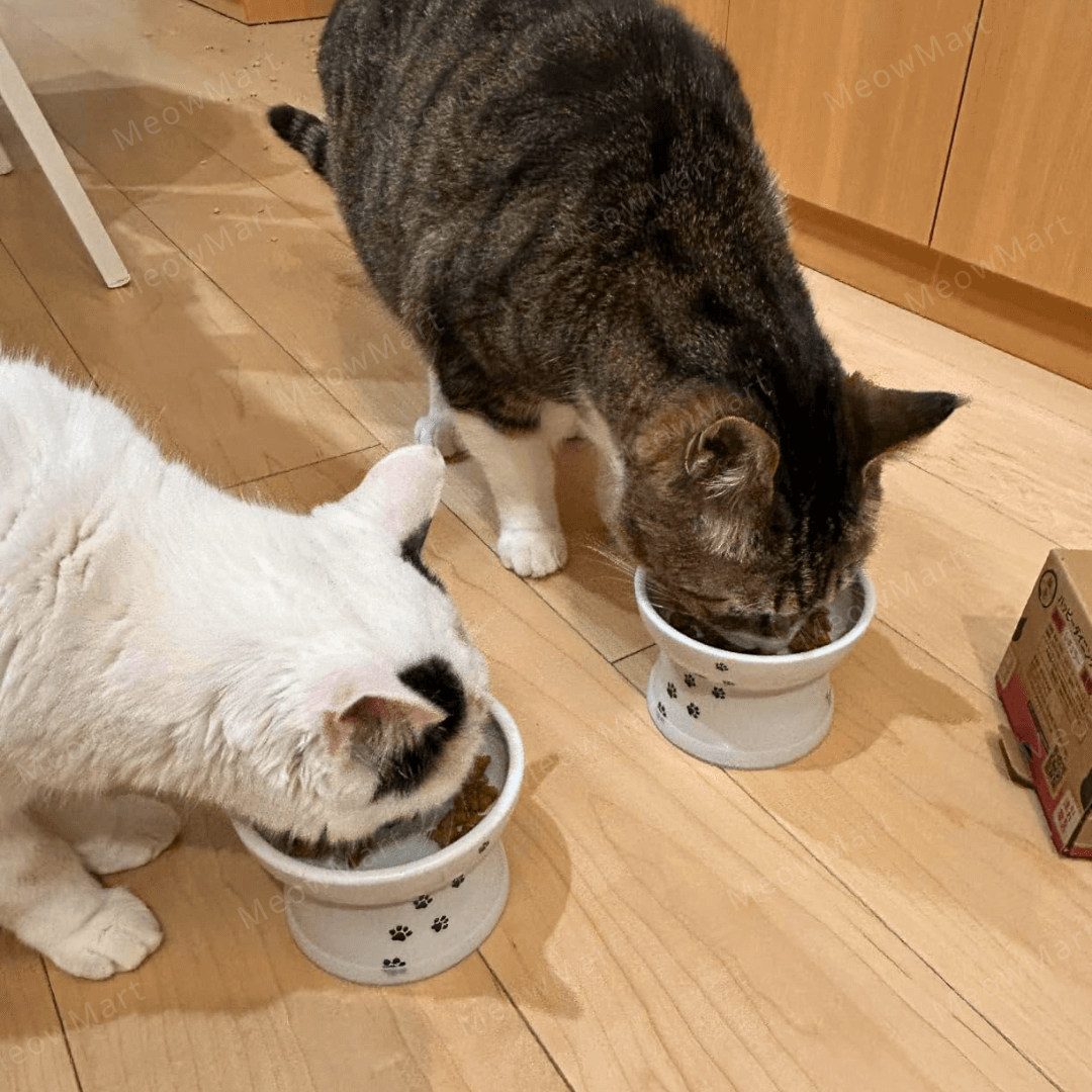 necoichi 高腳食物碗L號