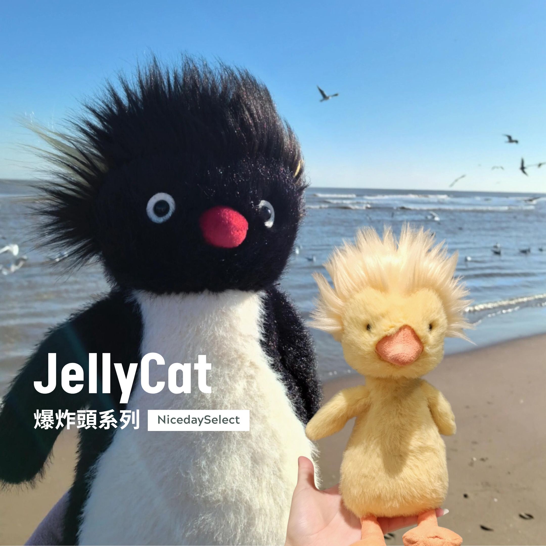 NICEDAY 代購 Jellycat 爆炸頭系列 企鵝 鴨 王世堅 玩偶 抱枕 娃娃 炸毛企鵝 毛絨玩偶