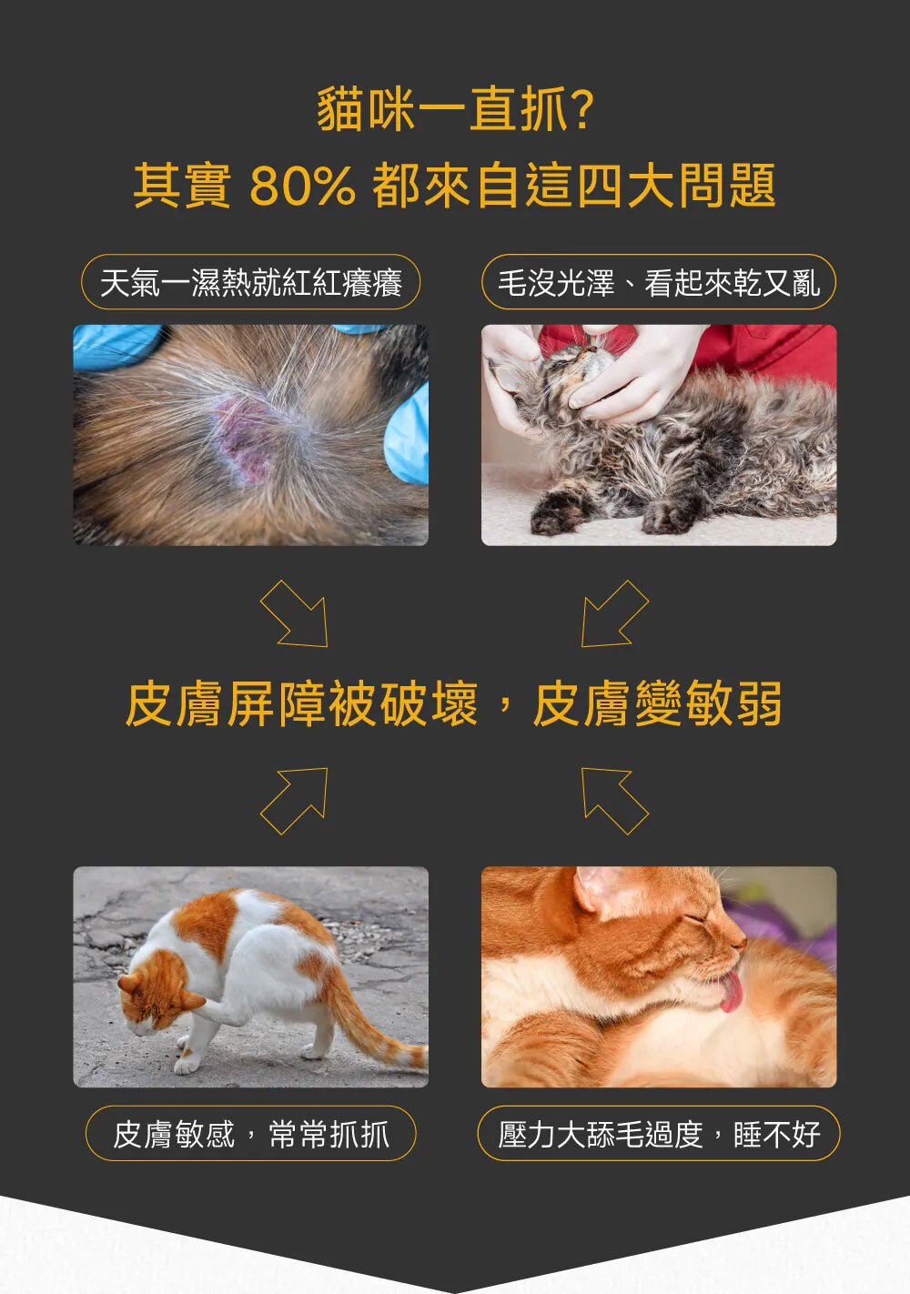 PetWell 沛威｜專效保健-膚健康PRO 貓貓專用 (30包/盒)