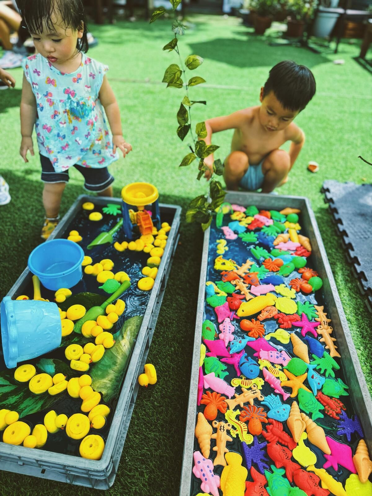 《GoKidsgarten Plus》[沙田]