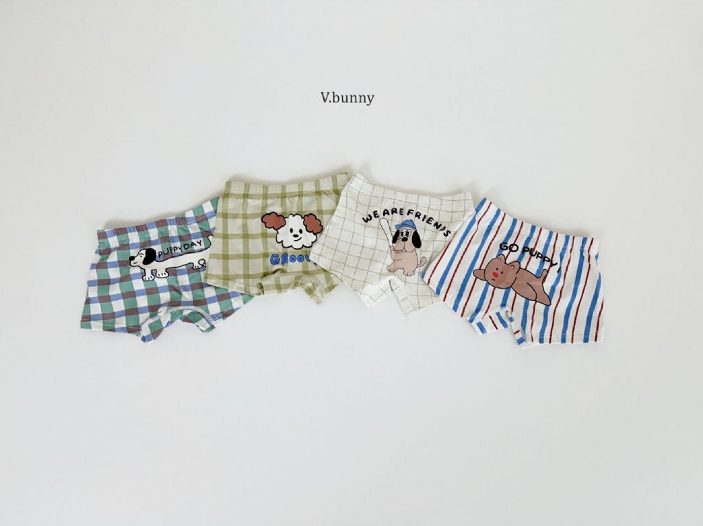 正韓春Vbunny 男孩棒球狗狗內褲組
