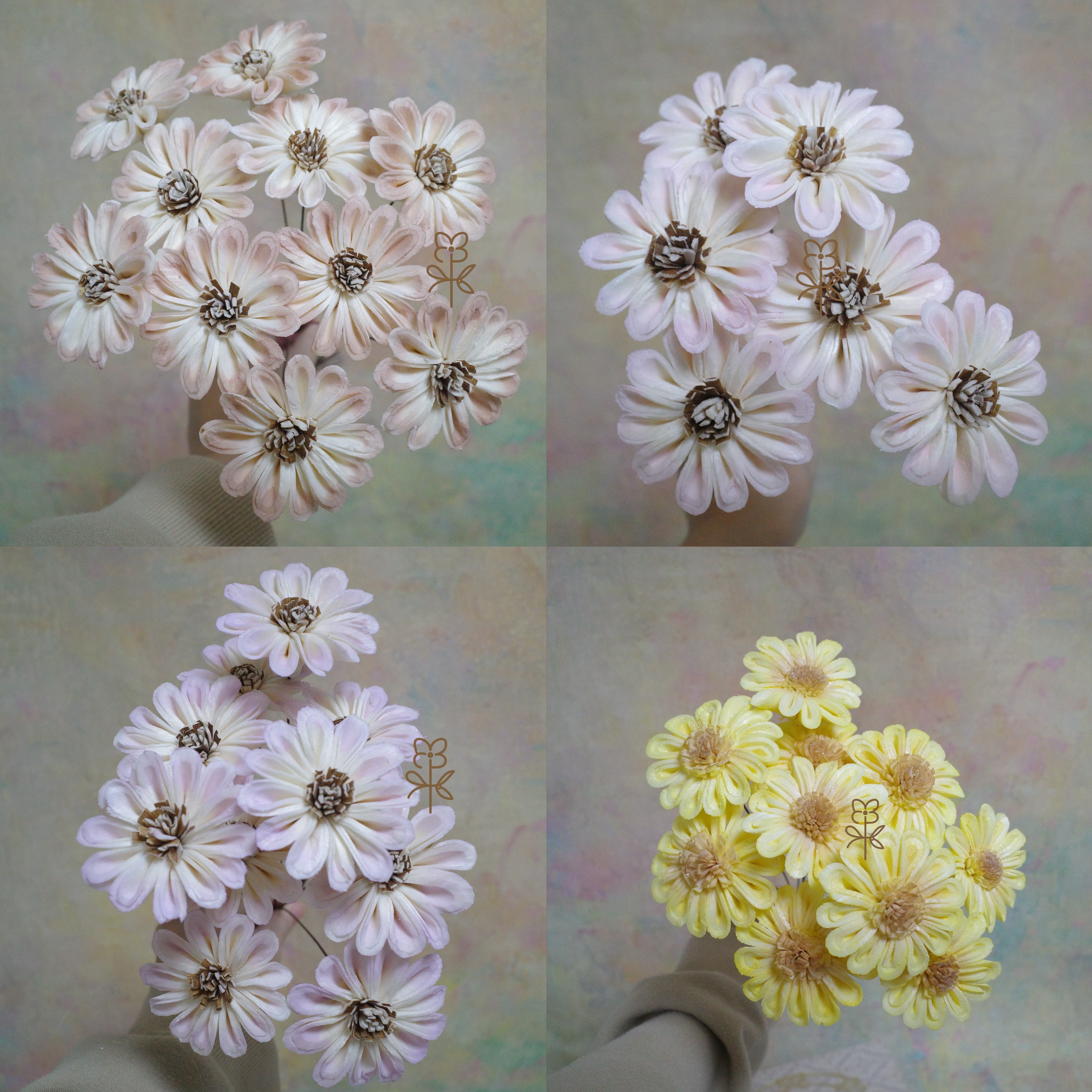 泰國索拉 5cm 非洲菊