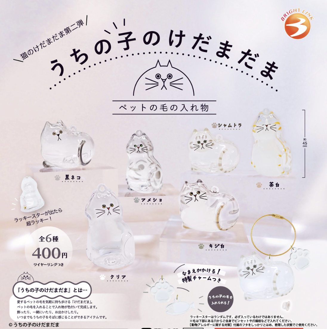 【現貨】Kedama Studio 透明貓毛儲存盒掛飾 第2彈扭蛋(全6種)