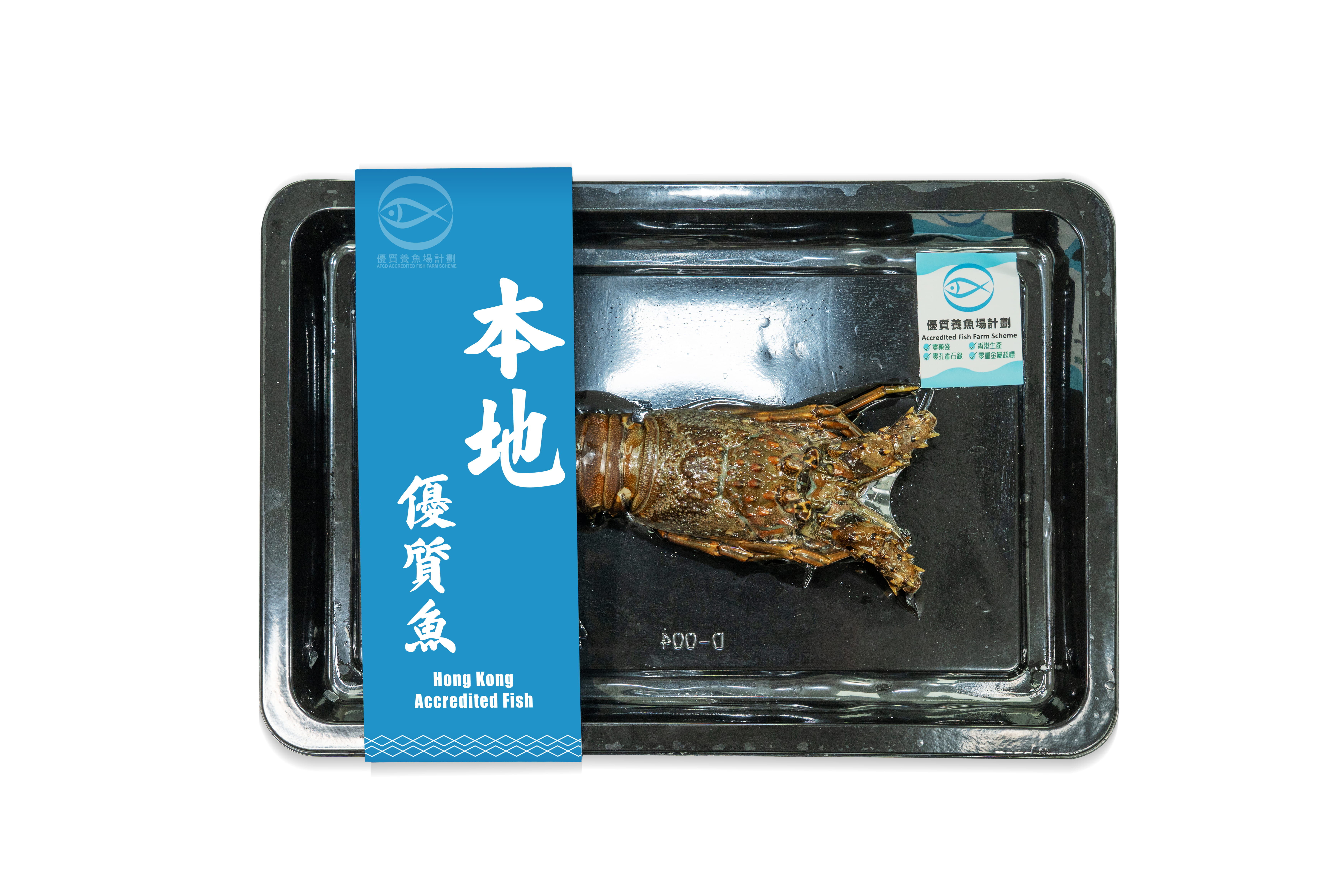 速凍本地優質青龍蝦 230g