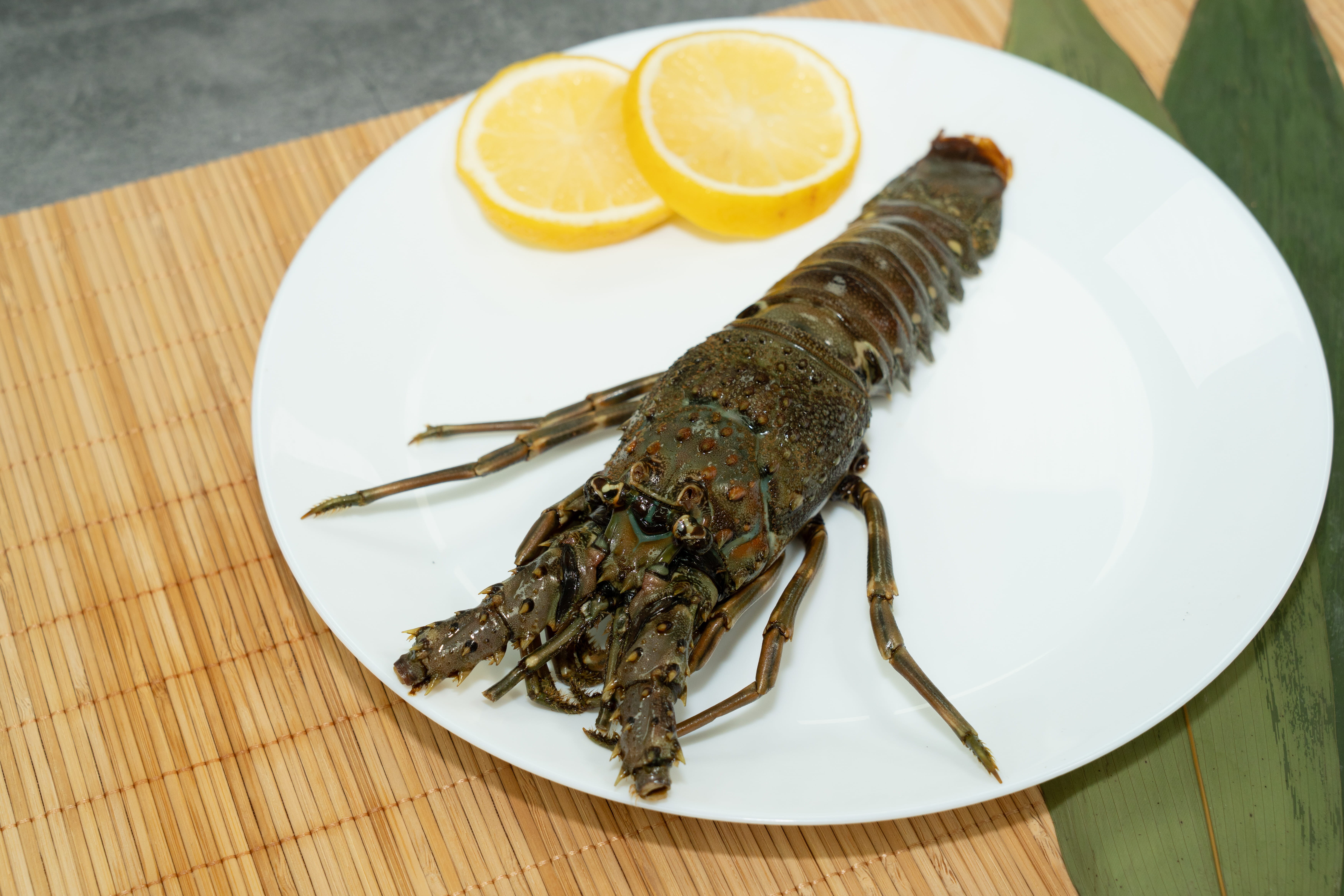 速凍本地優質青龍蝦 230g