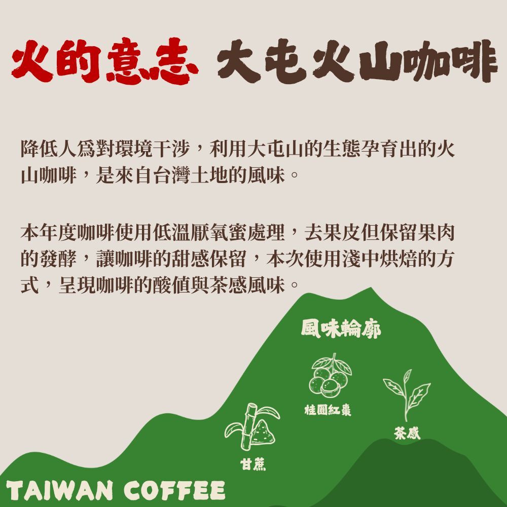 【2026最新批次】限量｜淺中焙｜台灣 北投 29莊園 蜜處理法 咖啡豆｜100% 阿拉比卡 台灣小農咖啡 1/4磅 咖啡豆(114克)｜暖窩咖啡