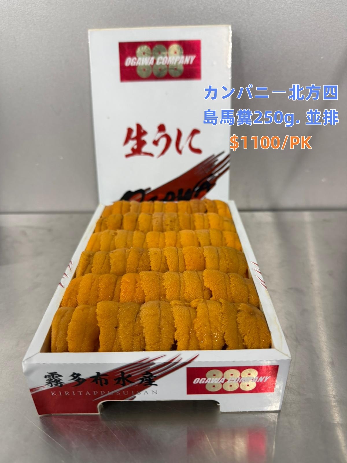 3月13號飛機貨「海胆」推介