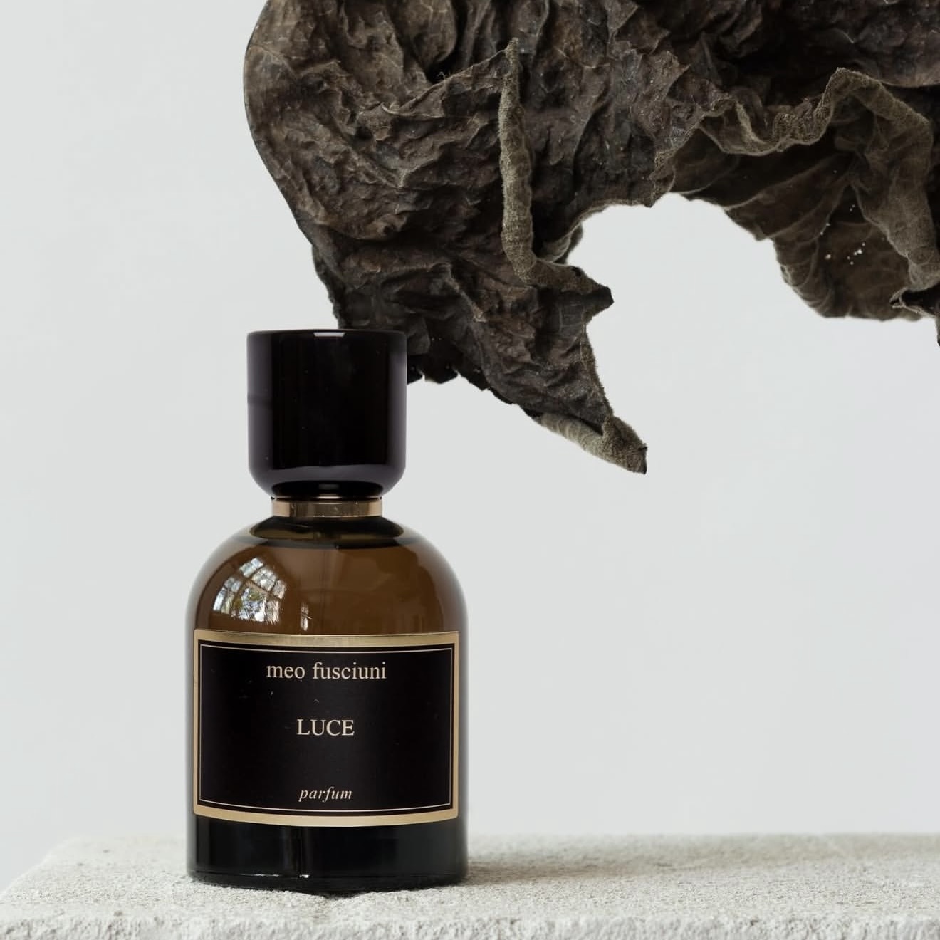 MEO FUSCIUNI｜光100ml