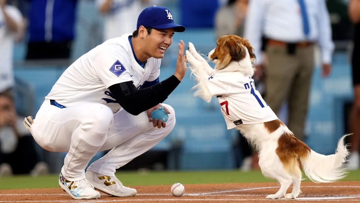 大谷翔平愛犬⚾🐶Decoy 狗狗吊飾