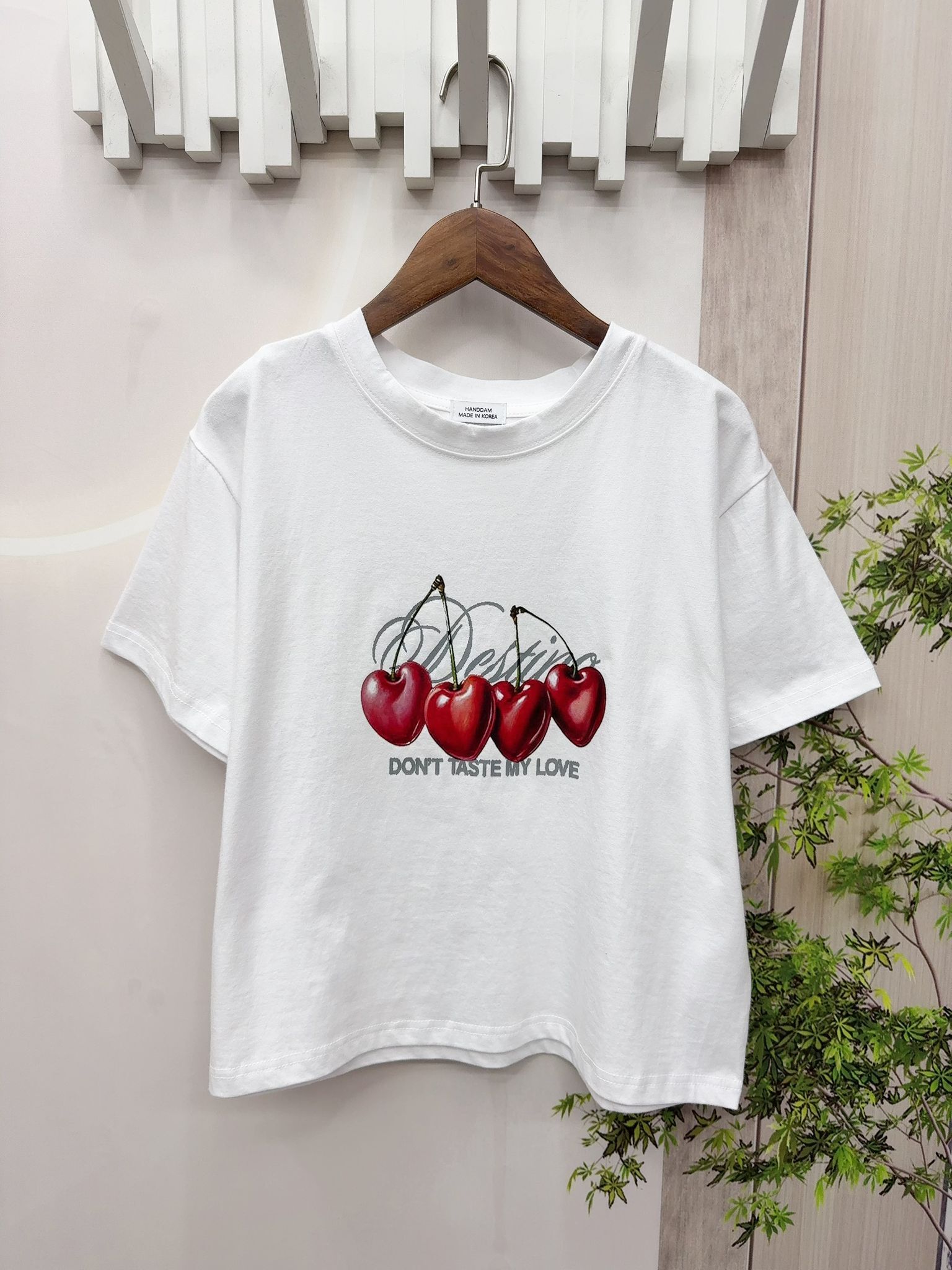 韓國車厘子top~148V