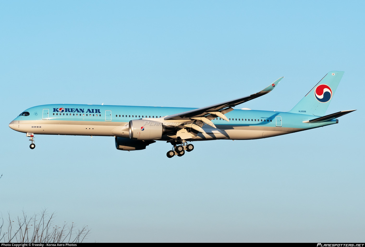 JC WINGS 1/400 大韓航空A350-900XWB HL8598 標準塗裝