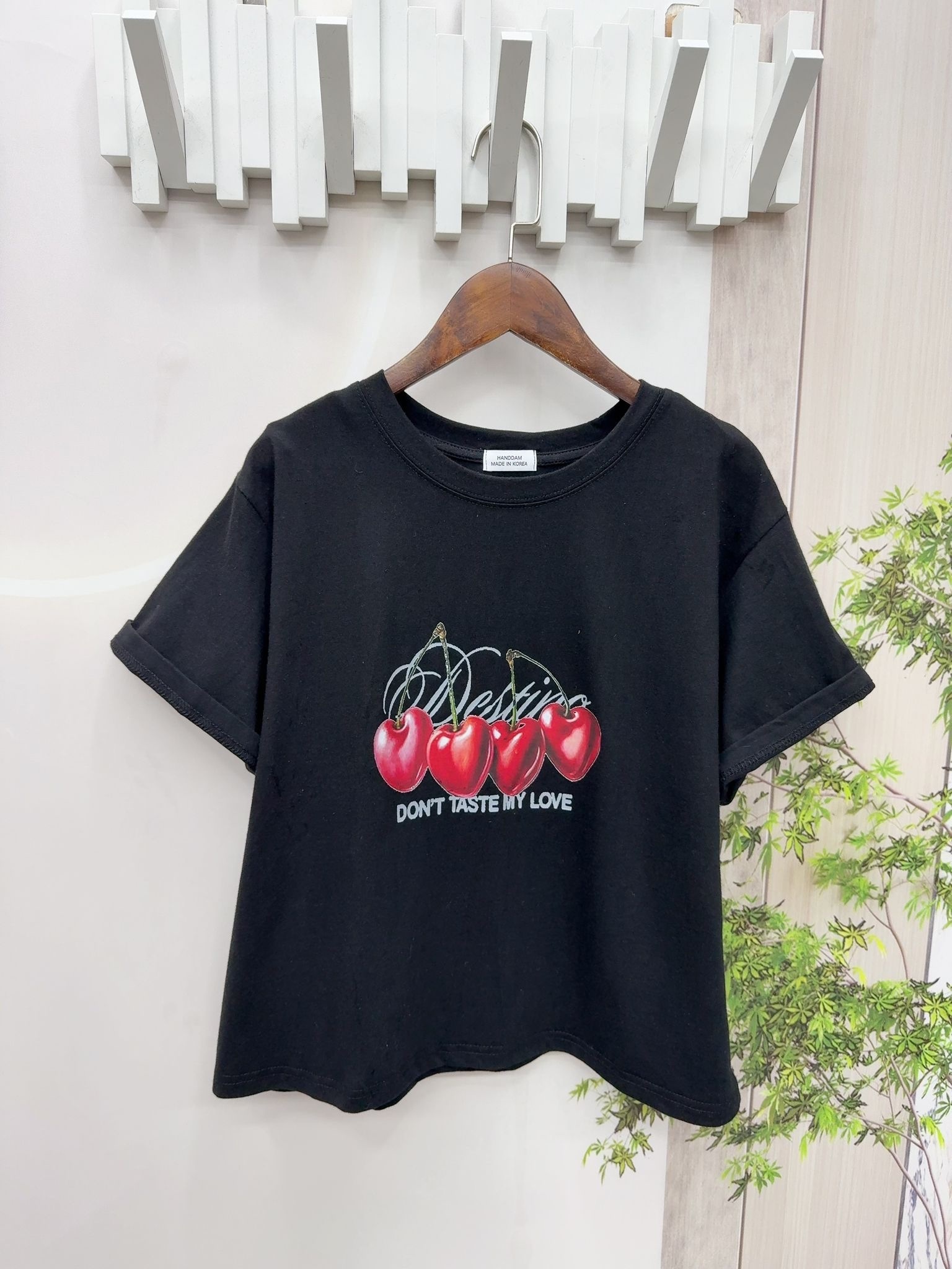 韓國車厘子圖top ～148V