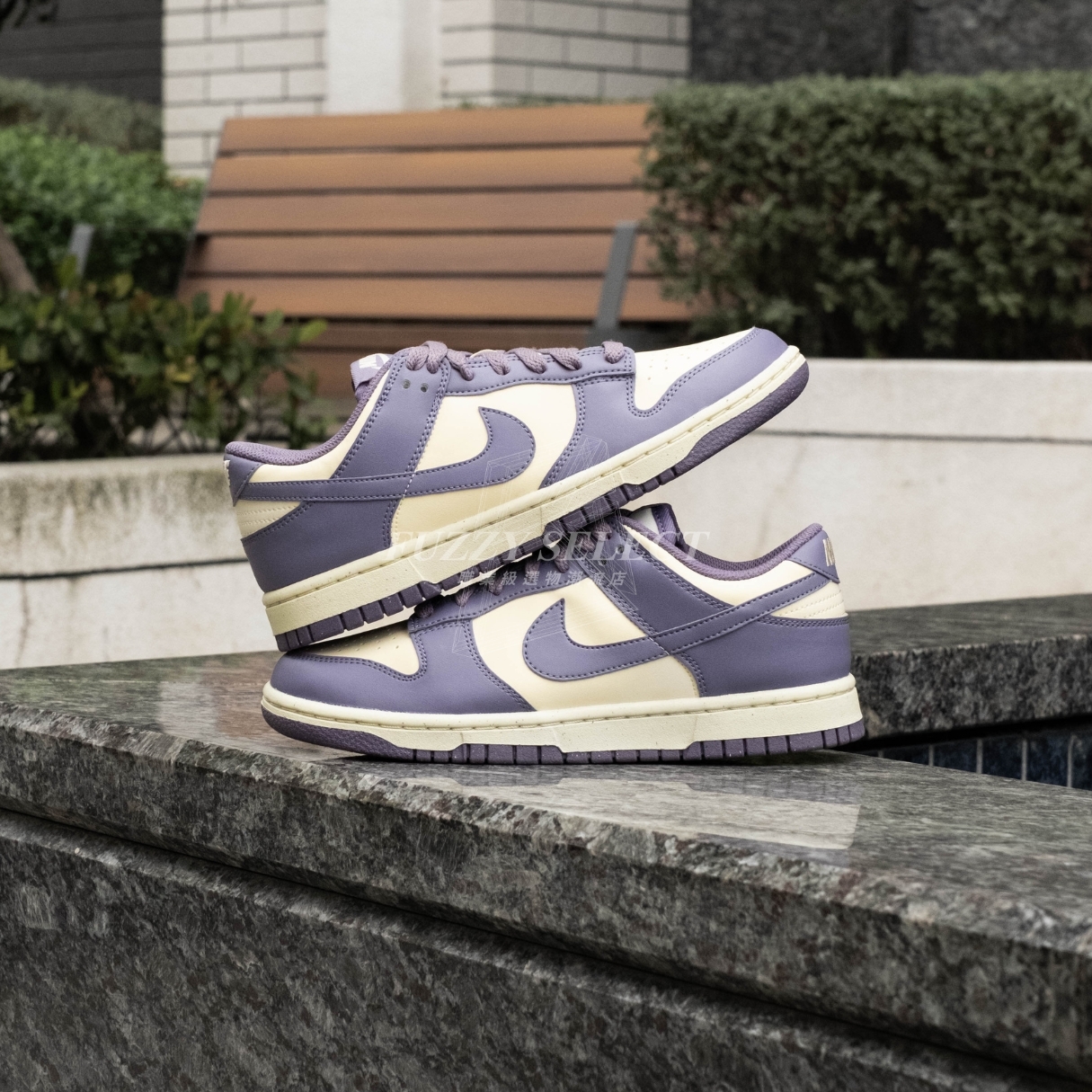 【逢甲 FUZZY】W Nike Dunk Low "Daybreak" 藕粉芋泥 FZ4349-100