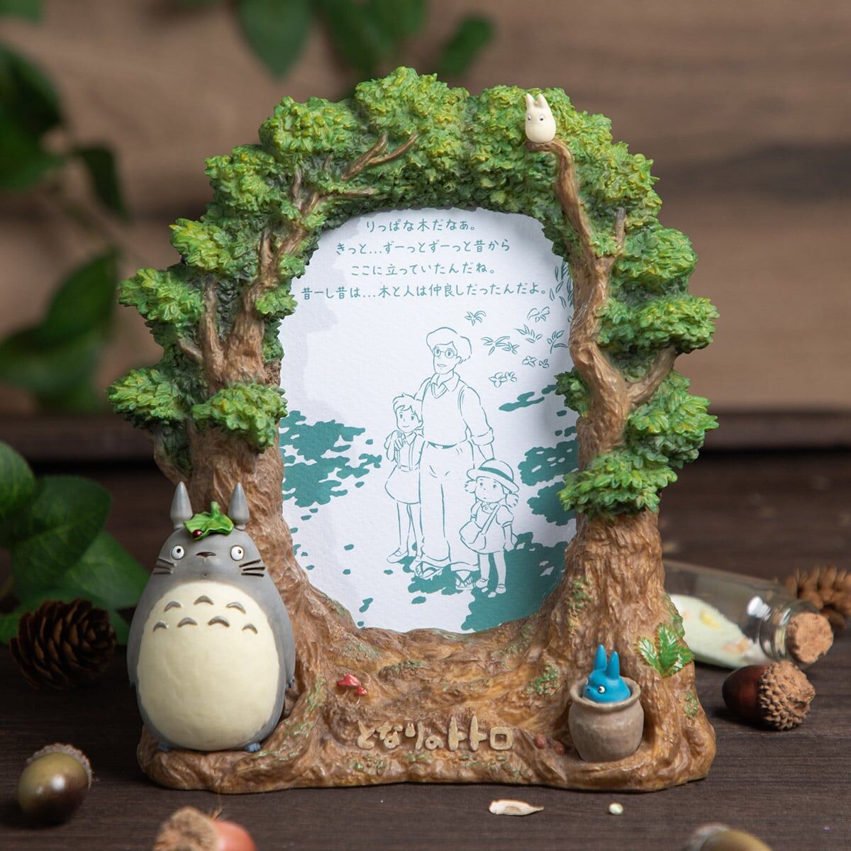 相框 龍貓 龍貓的森林