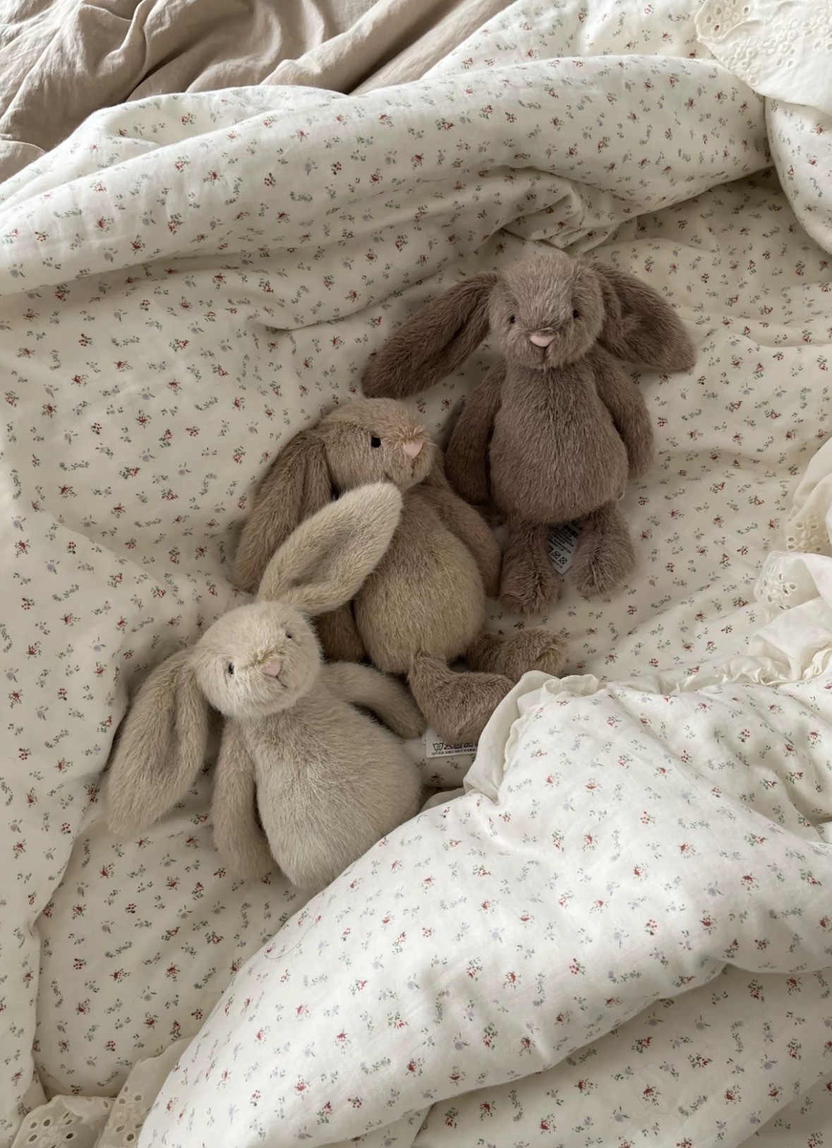 （現貨） Jellycat 邦尼兔 玩偶 18 cm