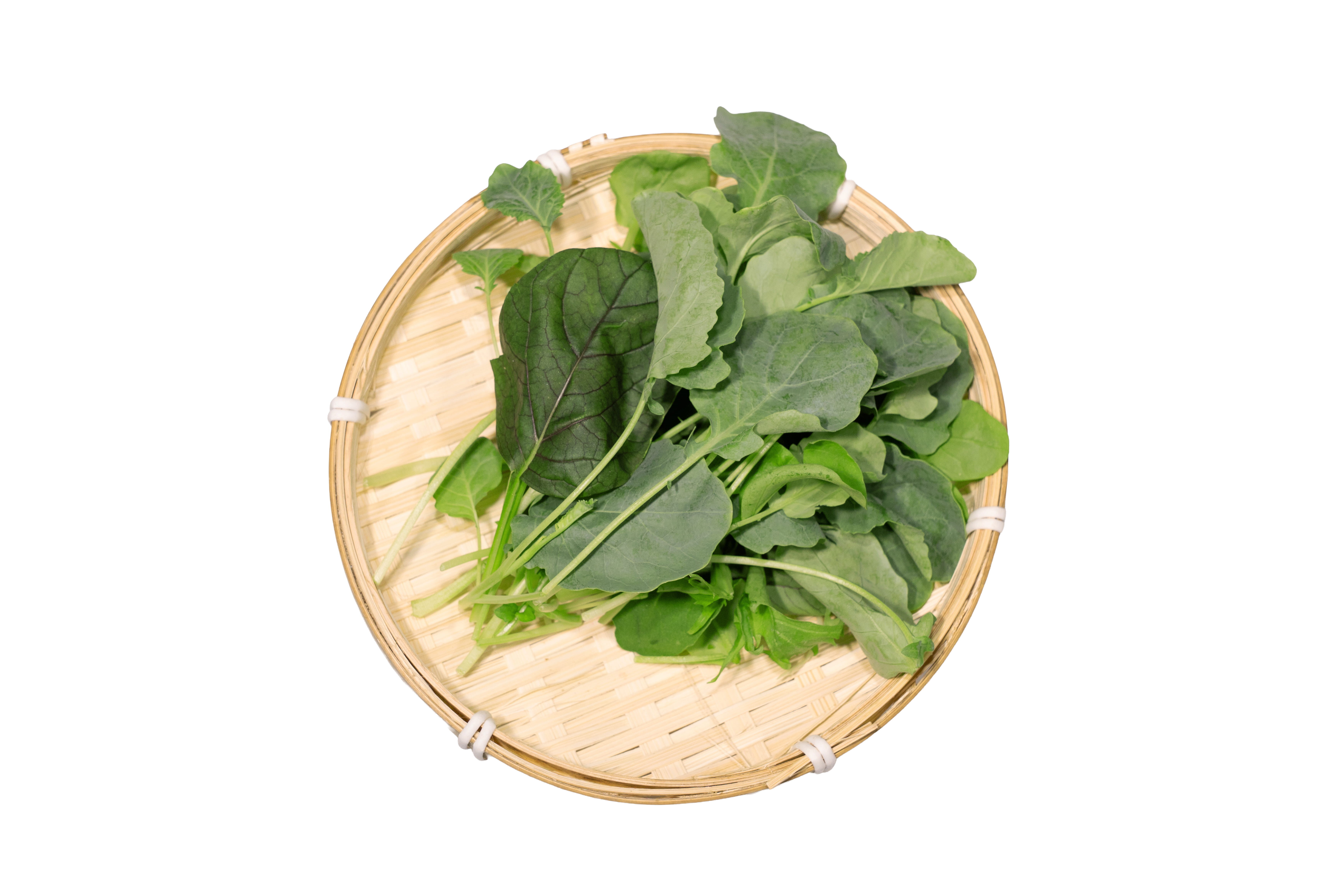 本地水耕菜苗 100g (盒)
