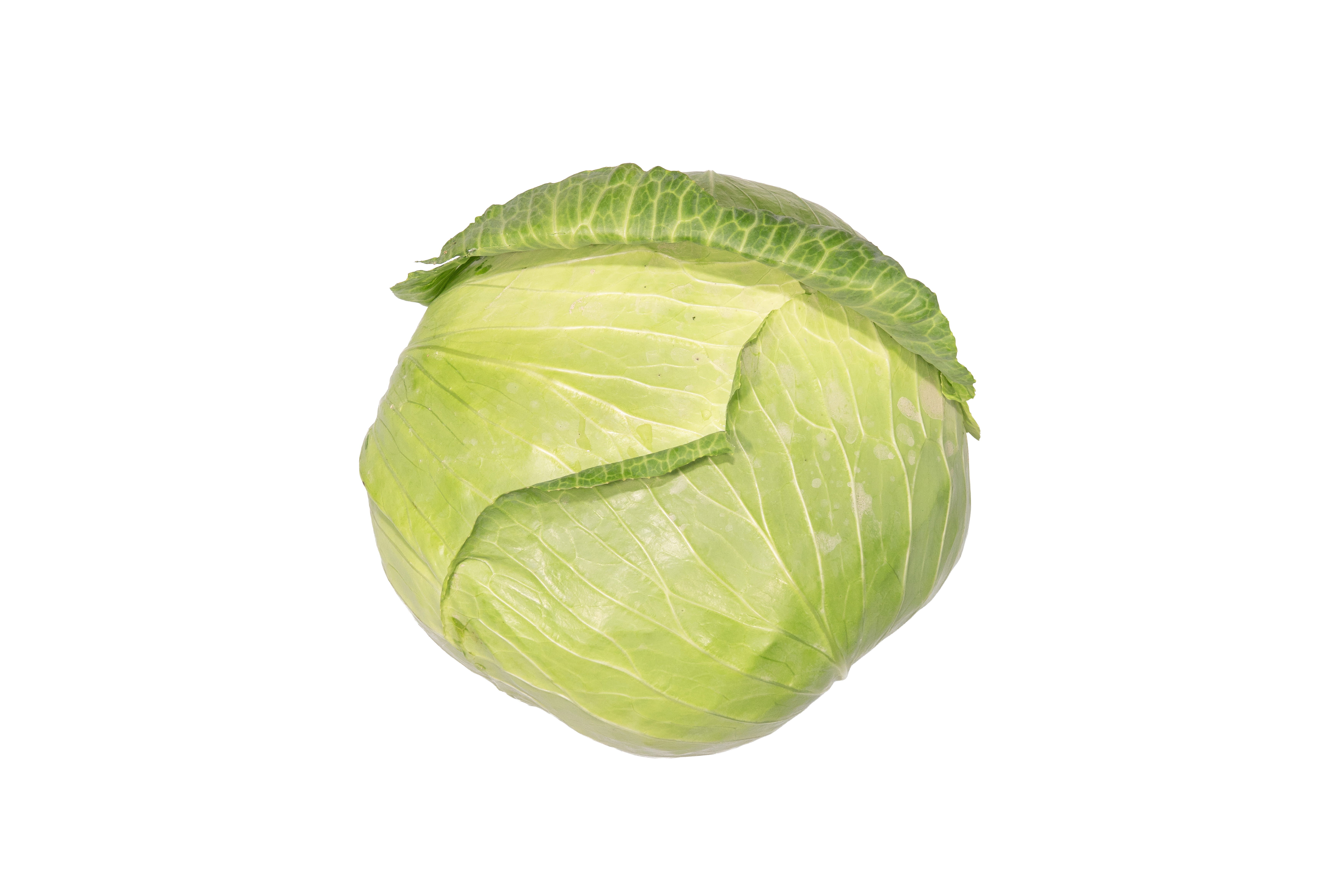 本地有機白椰菜 （2斤/包）