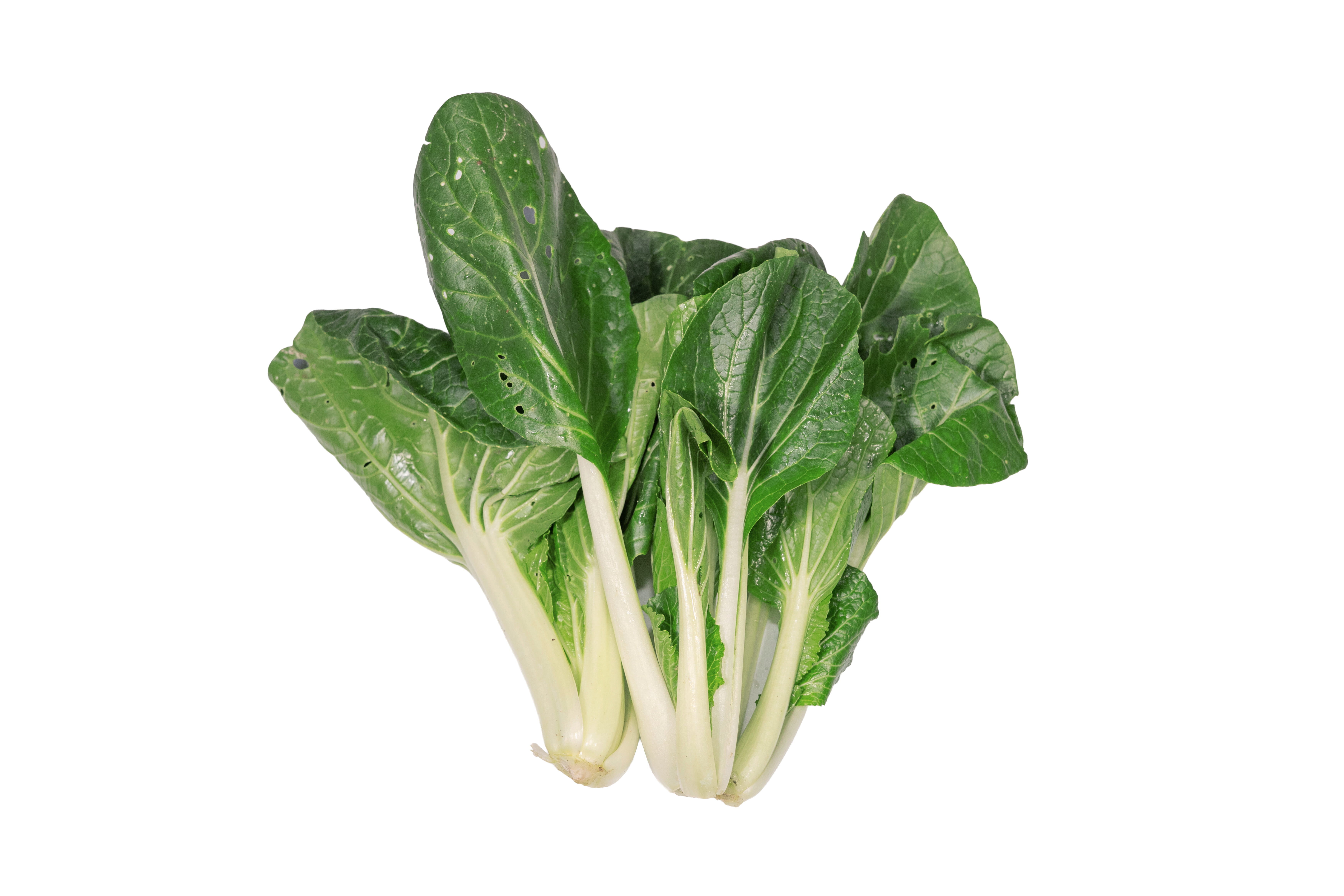 本地有機白菜 (包)