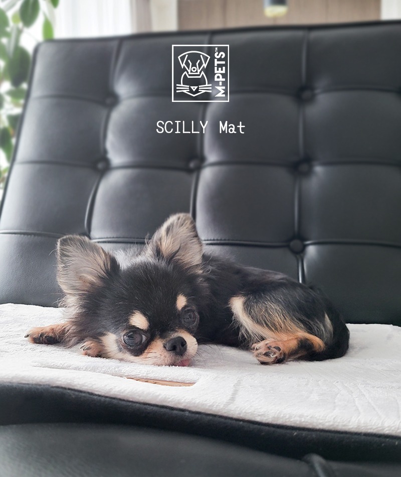 M-Pets SCILLY系列 寵物床墊．灰色 XS