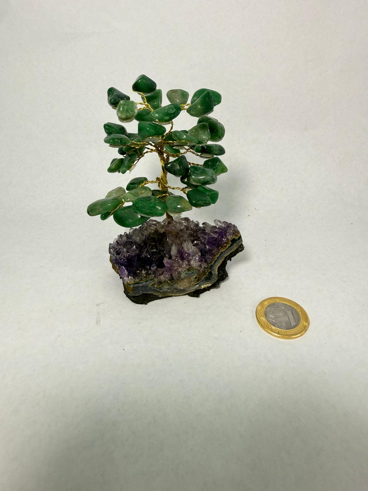 WH066 A66 XS 9-11CM 水晶樹 綠色東菱石