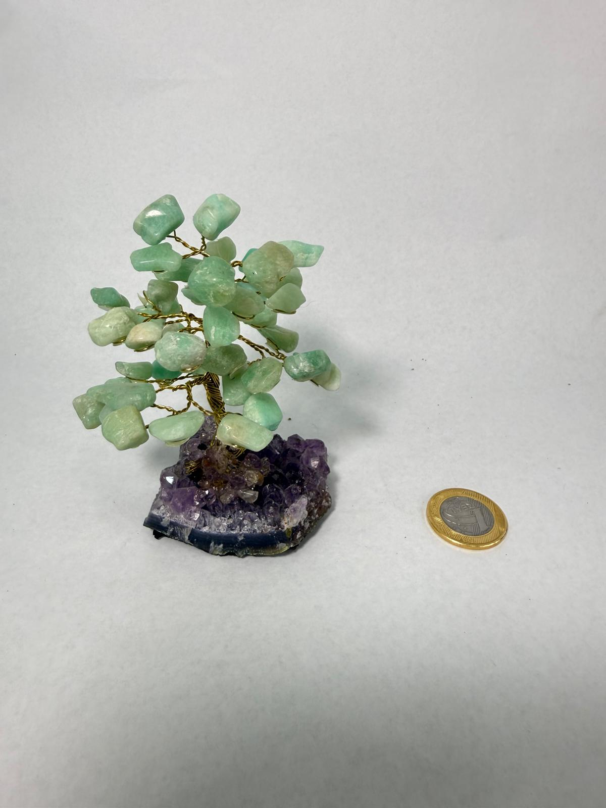 WH068 A68 XS 9-11CM 水晶樹 天河石