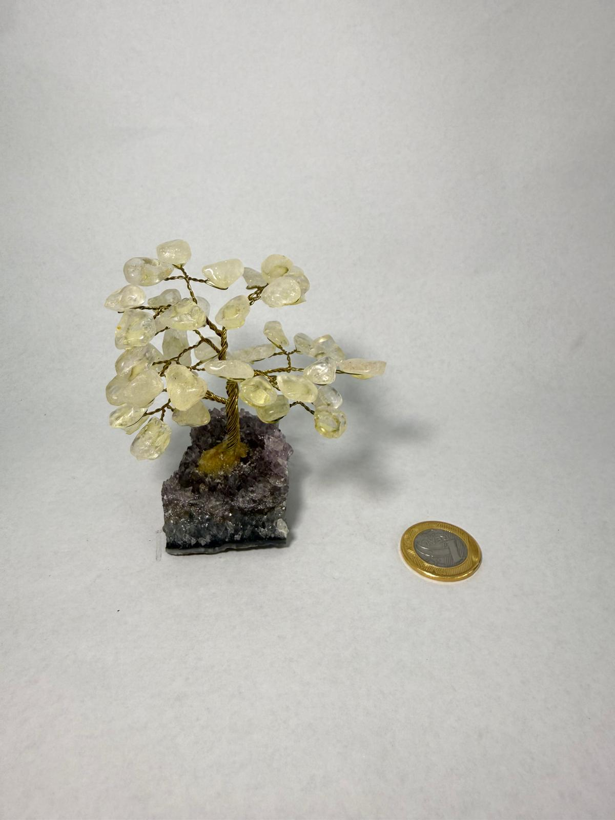 WH069 A69 XS 9-11CM 水晶樹 白水晶