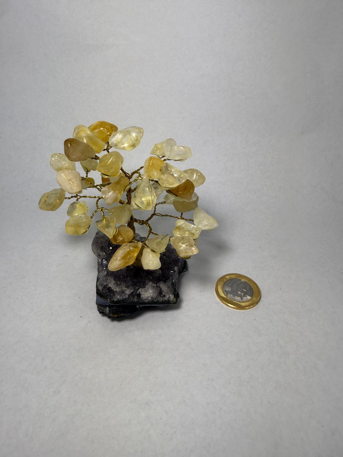 WH070 A70 XS 9-11CM 水晶樹 黃水晶