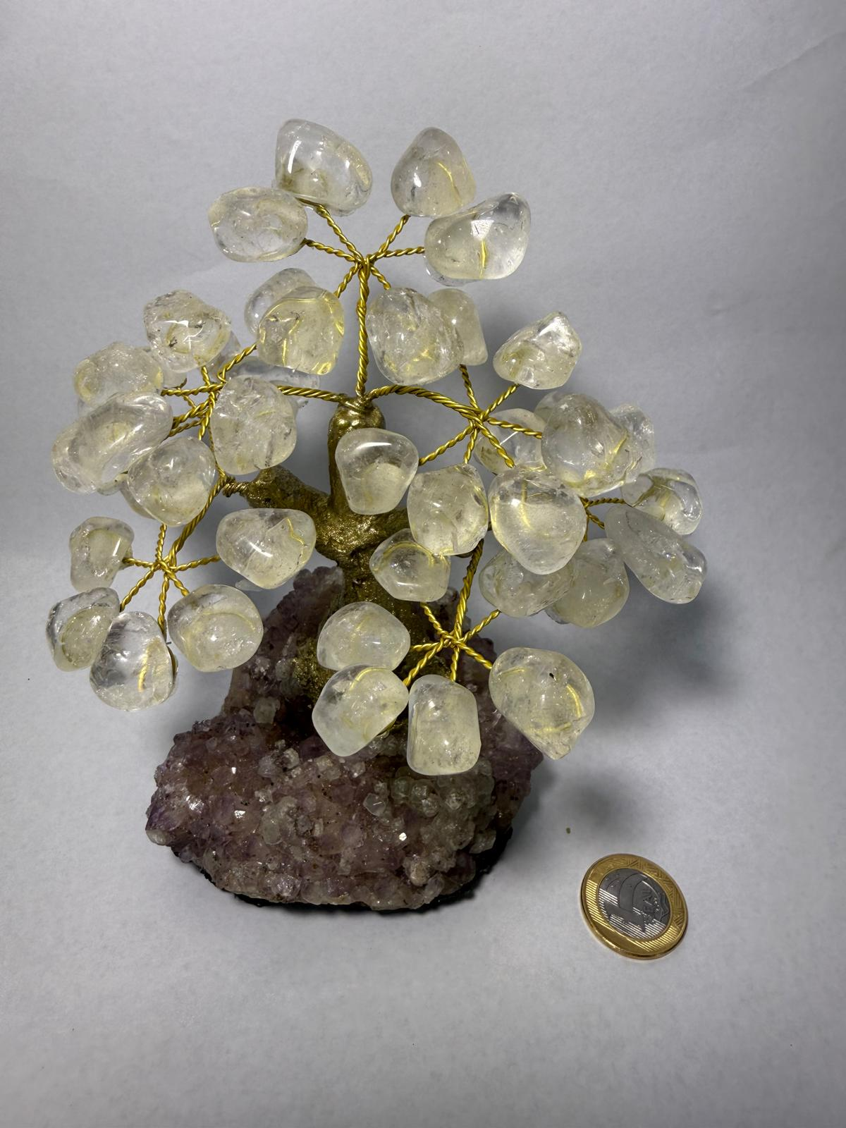 WH072 A72 S 14-16cm 水晶樹 白水晶