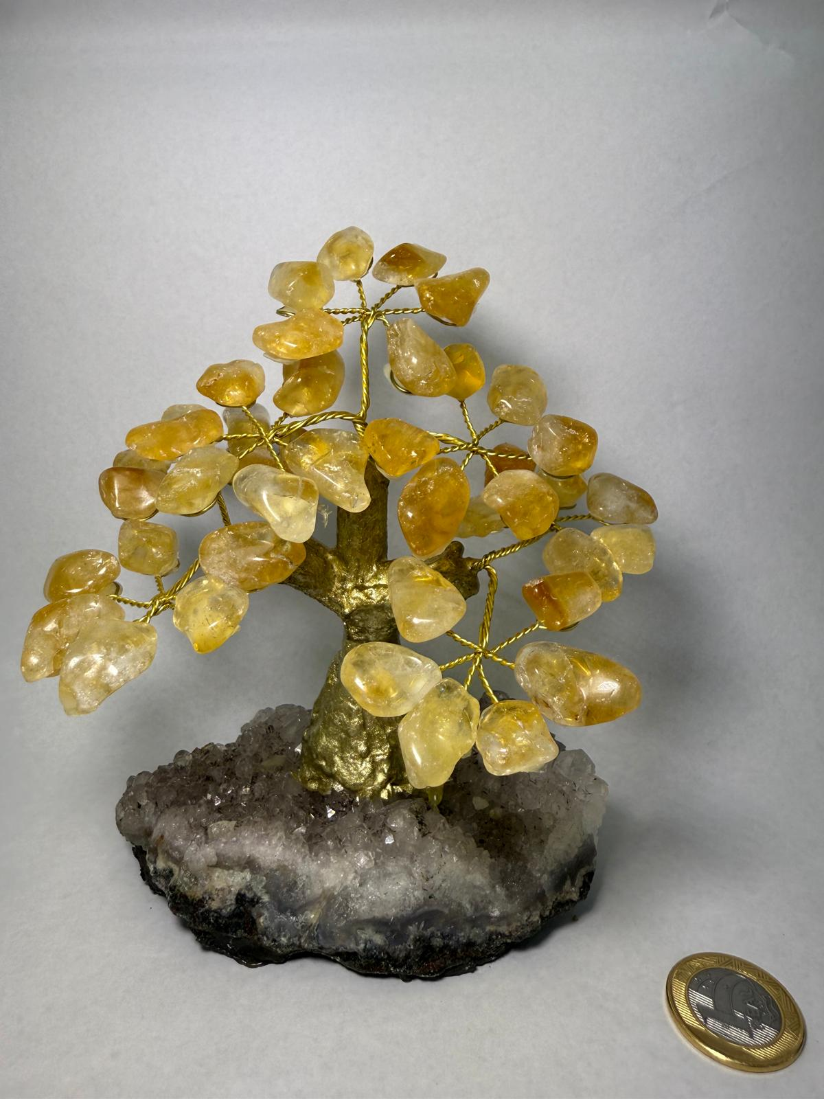 WH074 A74 S 14-16cm 水晶樹 黃水晶