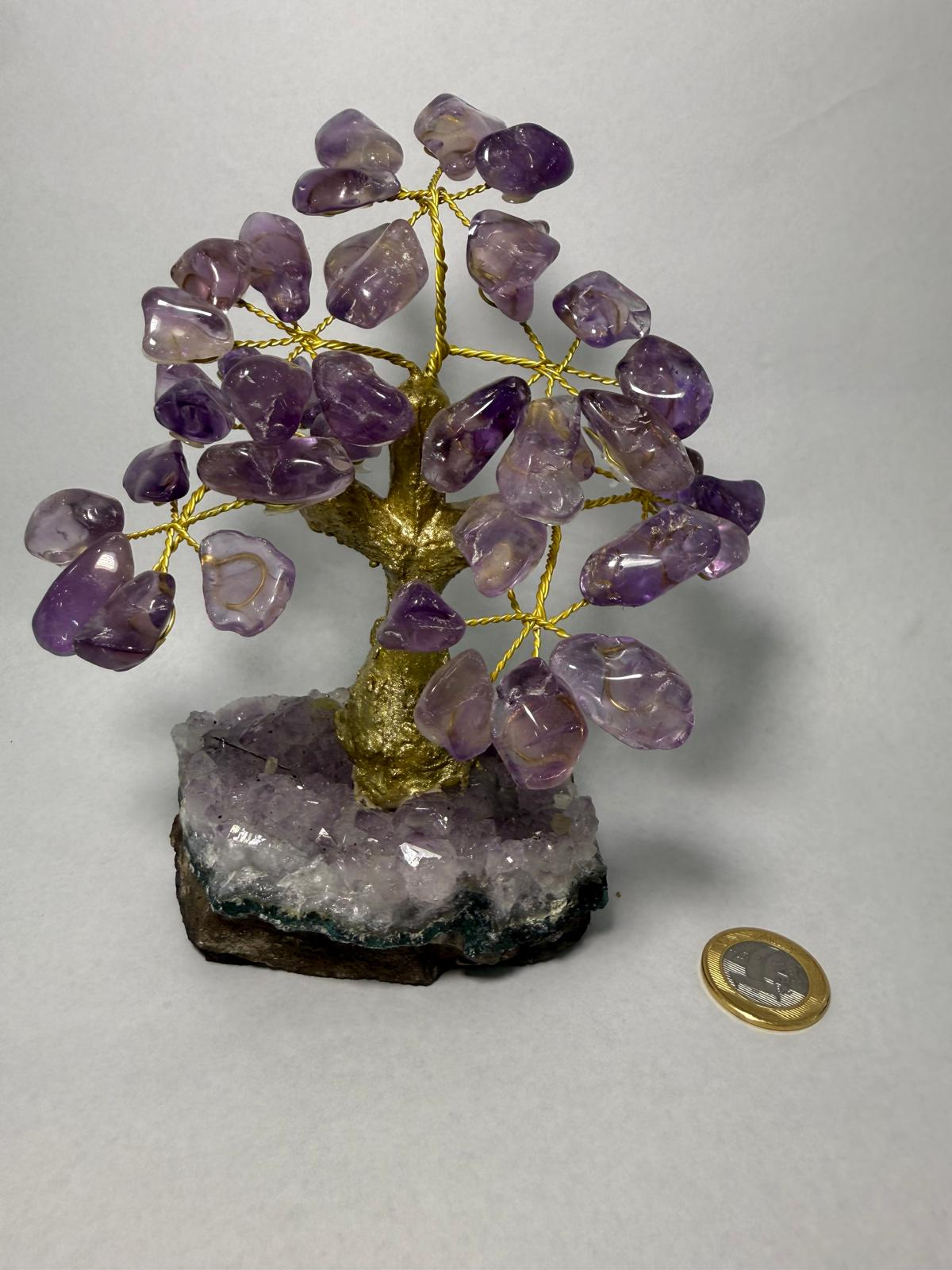 WH075 A75 S 14-16cm 水晶樹 紫水晶