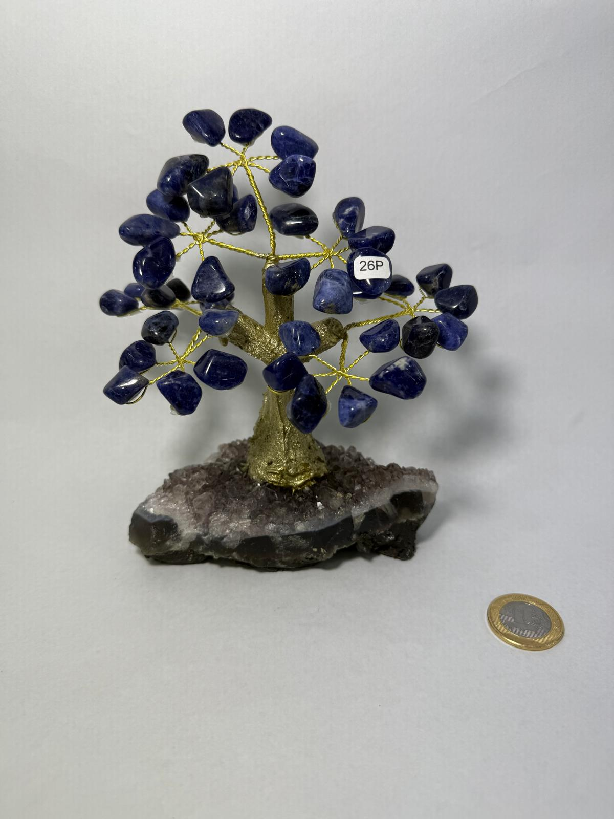 WH077 A77 S 14-16cm 水晶樹 方鈉石