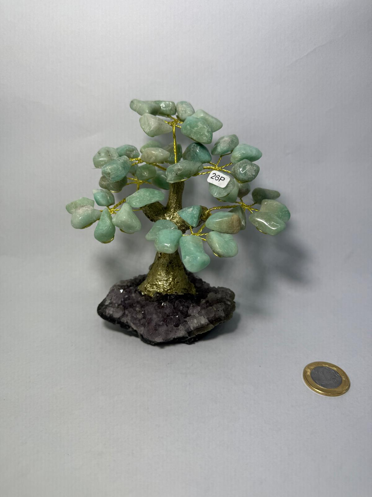 WH079 A79 S 14-16cm 水晶樹 天河石