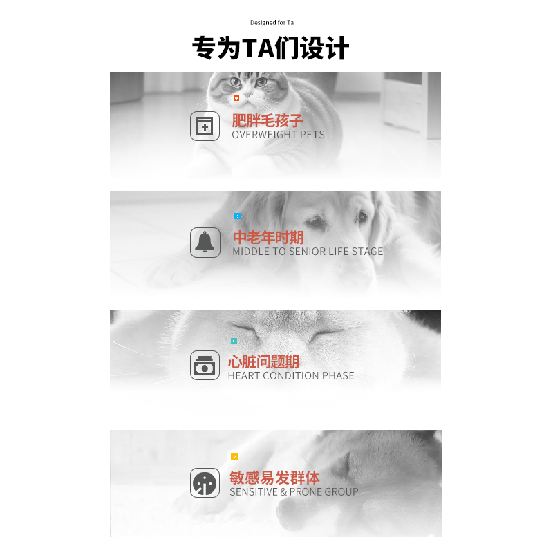 VETPET 护心片 狗猫专用