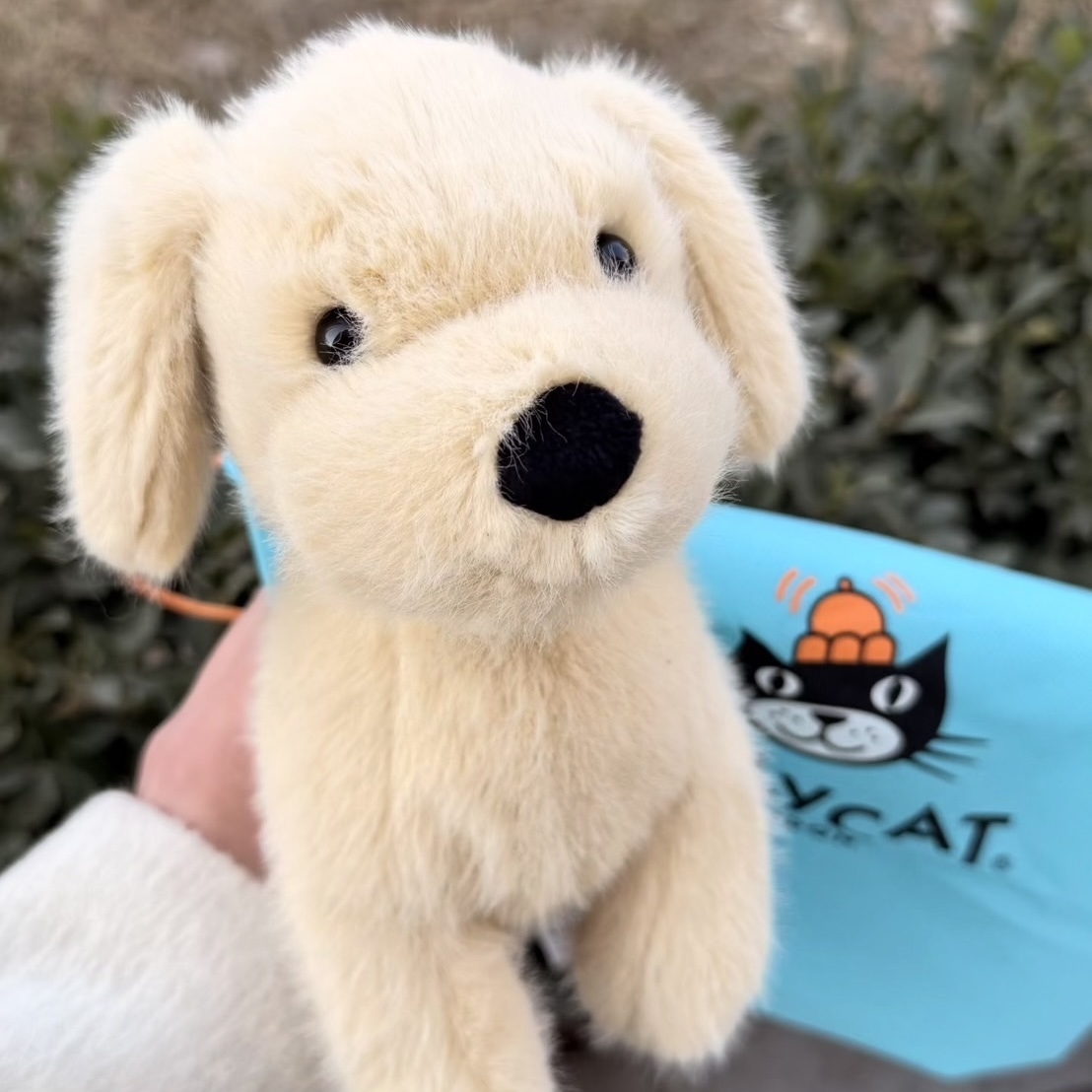 （預購） JellyCat 黃金獵犬 毛絨玩偶 小狗