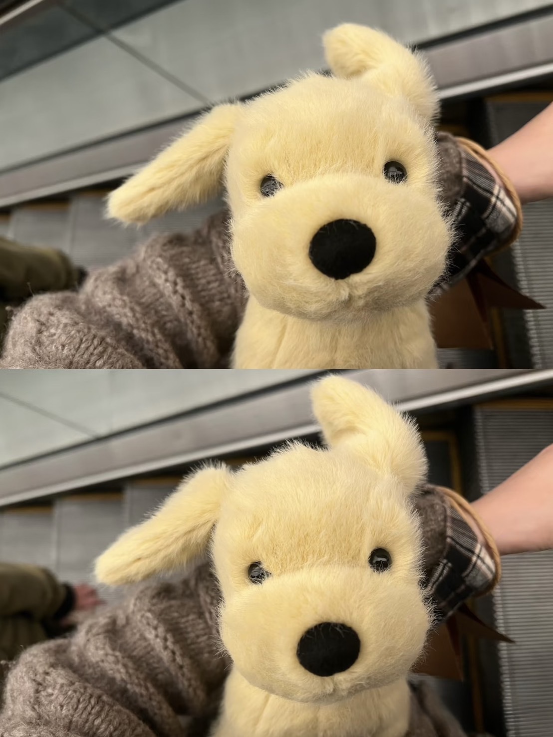 （預購） JellyCat 黃金獵犬 毛絨玩偶 小狗