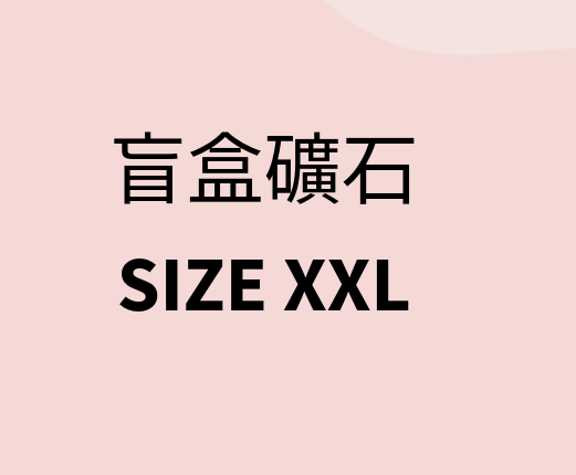 WH131 盲盒礦石 SIZE XXL 15-17CM 連架+黃鐵礦