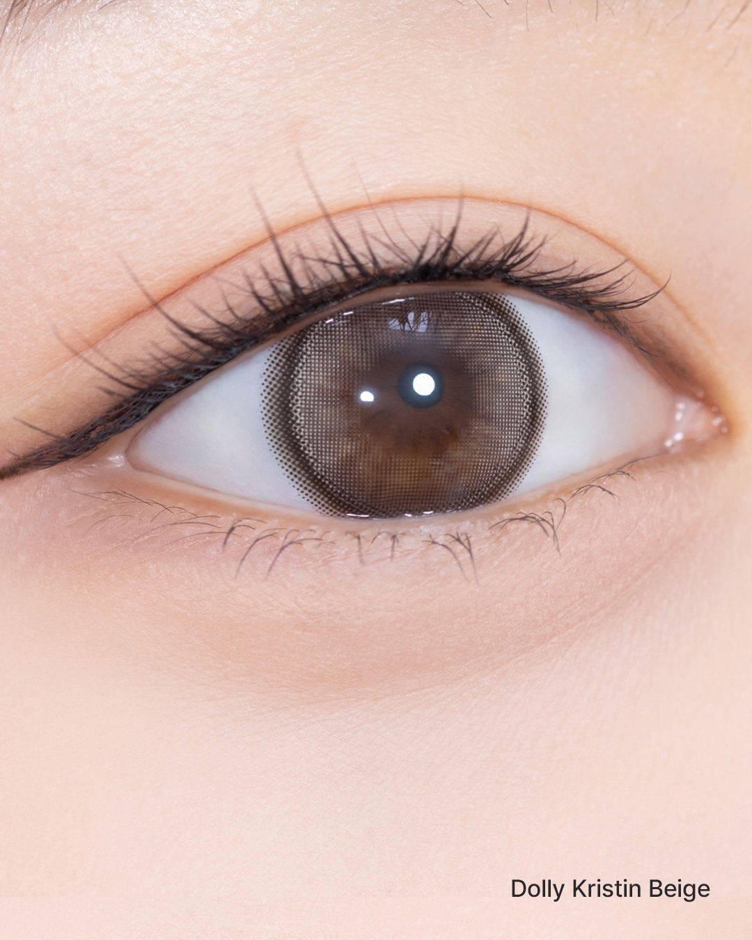 [日拋] Hapa Kristin Dolly Kristin 1 Day Beige 米棕色 日拋彩瞳 |每盒10片