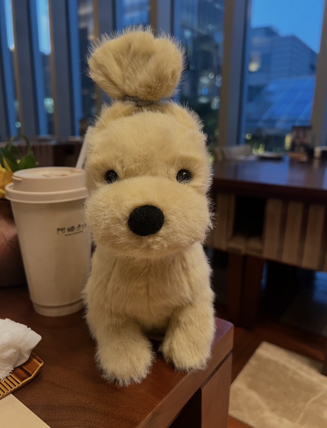 <預購> Jellycat 小金毛 黃金獵犬 毛絨娃娃21cm