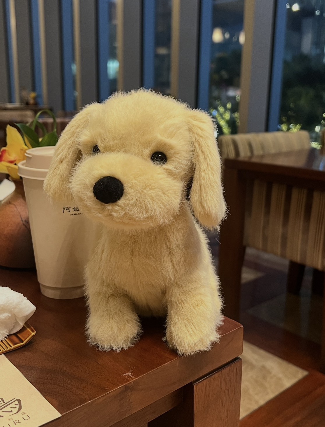 <預購> Jellycat 小金毛 黃金獵犬 毛絨娃娃21cm